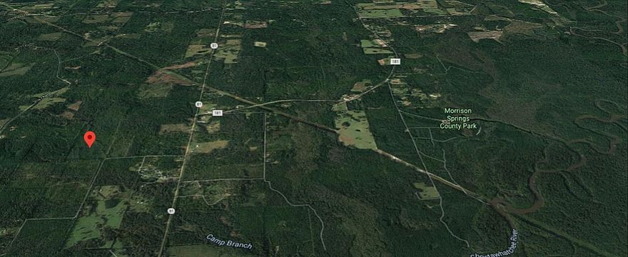 This 41.96 acre PROFESSIONALLY PLANTED property, boast rolling hills with Loblolly pines and is close to all that PONCE DE LEON has to offer! Come find your own ''Fountain OF Youth''! 5 MILES FROM I-10, MINUTES from MORRISSON SPRINGS and 10 miles from VORTEX SPRINGS. You will not run out of things to do whether you are looking for your own place to hunt all the wild game this property has to offer or just a place to build a home or maybe you just want the PRIVACY and SECURITY that only a LARGE parcel of Land can truly deliver. This is raw property and a great opportunity to own Land in these troubling times and this is Zone X high and dry on the Fema flood map.  Pusley Hill is a County maintained gravel road in North Walton County.  1974 raised seal survey available. Chelco voted-in to provide electric service to properties that are on County maintained roads and that apply for electric service. Please verify with Chelco.
Link to Morrison Springs https://www.co.walton.fl.us/523/Morrison-Springs
https://www.youtube.com/watch?v=MNq2LLZX1aM Courtesy Walton Outdoors