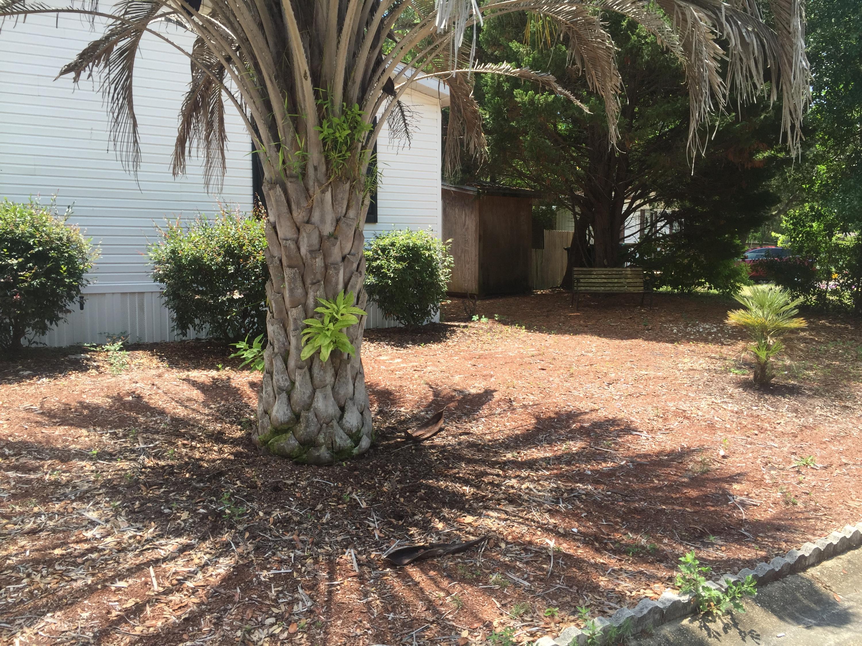 BAYSHORE S/D - Residential