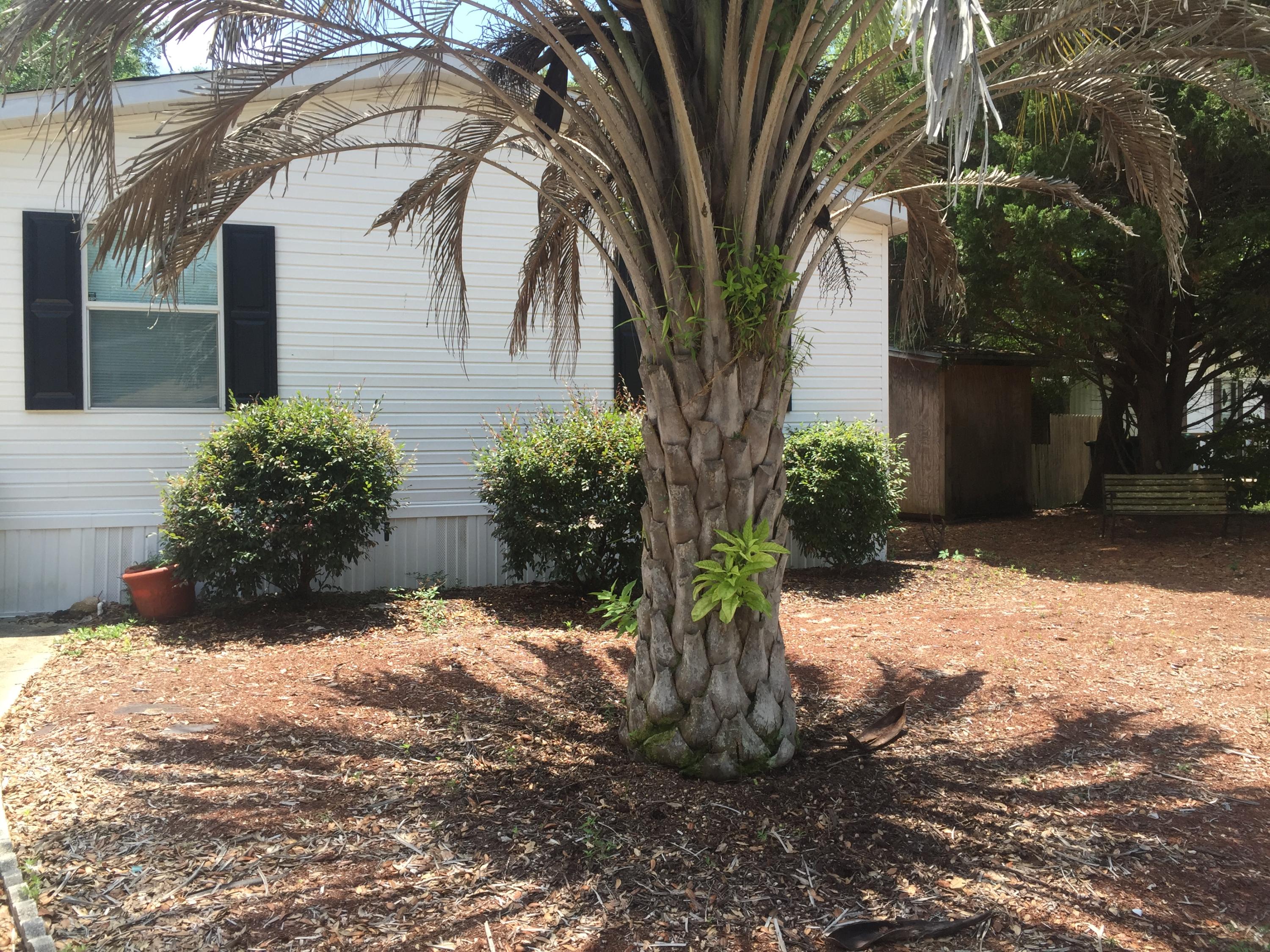 BAYSHORE S/D - Residential