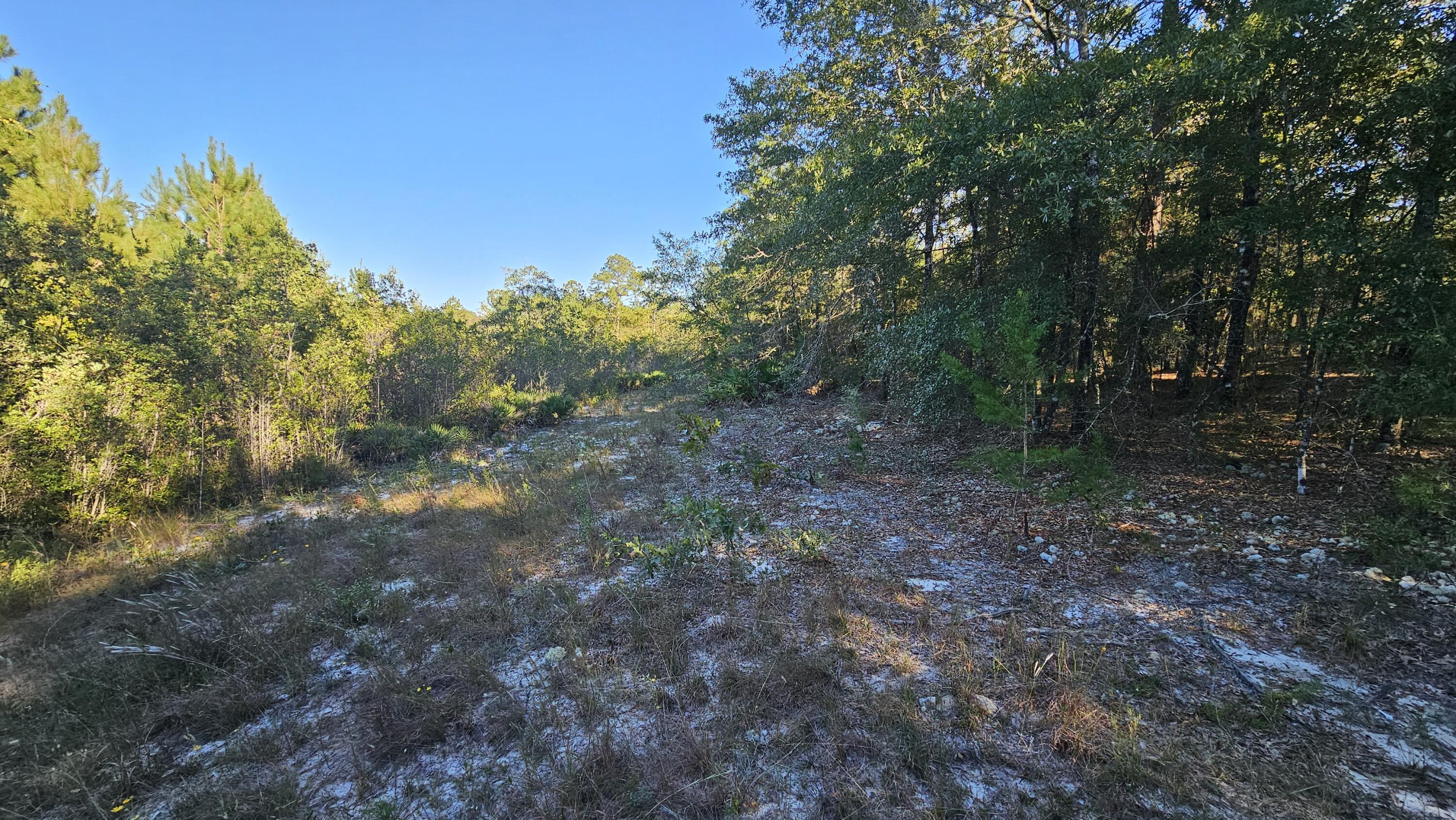 NO RECORDED SUBDIVISION - Land