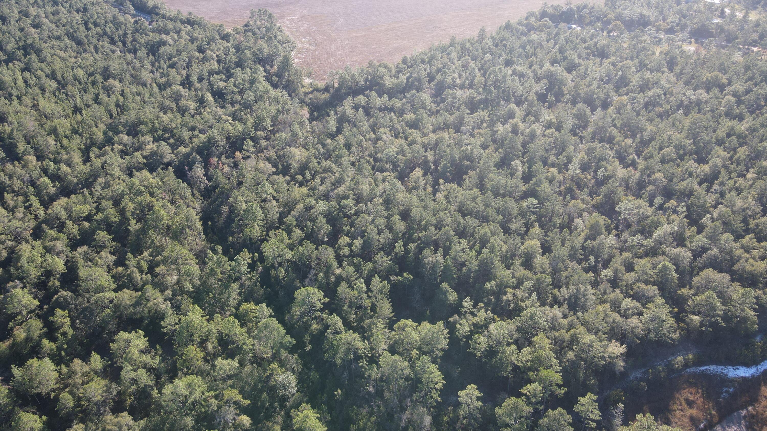 NO RECORDED SUBDIVISION - Land