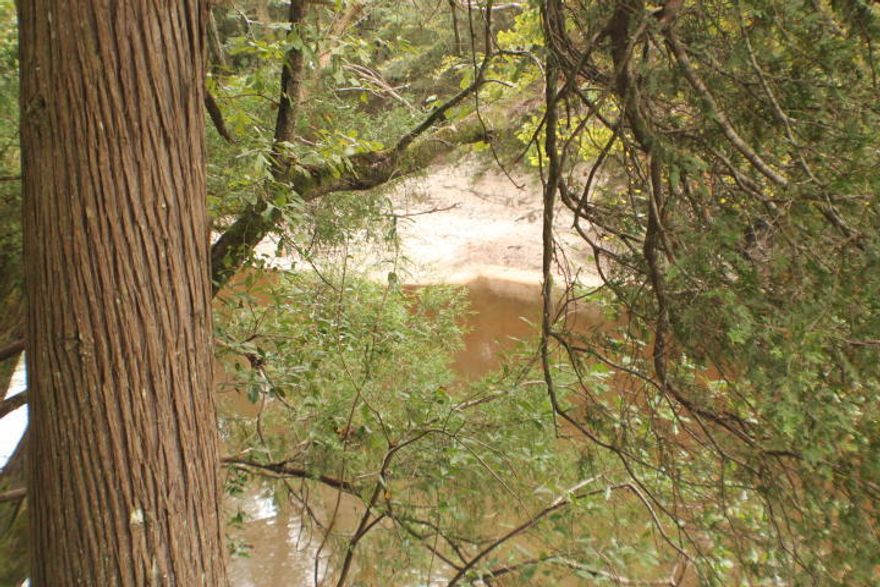 Beautiful Flowing River Front! White sandy beaches and bottom on the Shoal River with Highway 393 paved frontage !This is a recreational parcel for a RV, Site, Hunting Fishing and Bon Fires! Bring the Rope Swing and the Hammock for Sunday afternoon Relax time! Property has power poles at the road but is in the floodway so no building permits or septic tanks allowed. Fun in the sun time! Kayak, canoe or John boat time! The next door (Additional 11 acres is also available.)