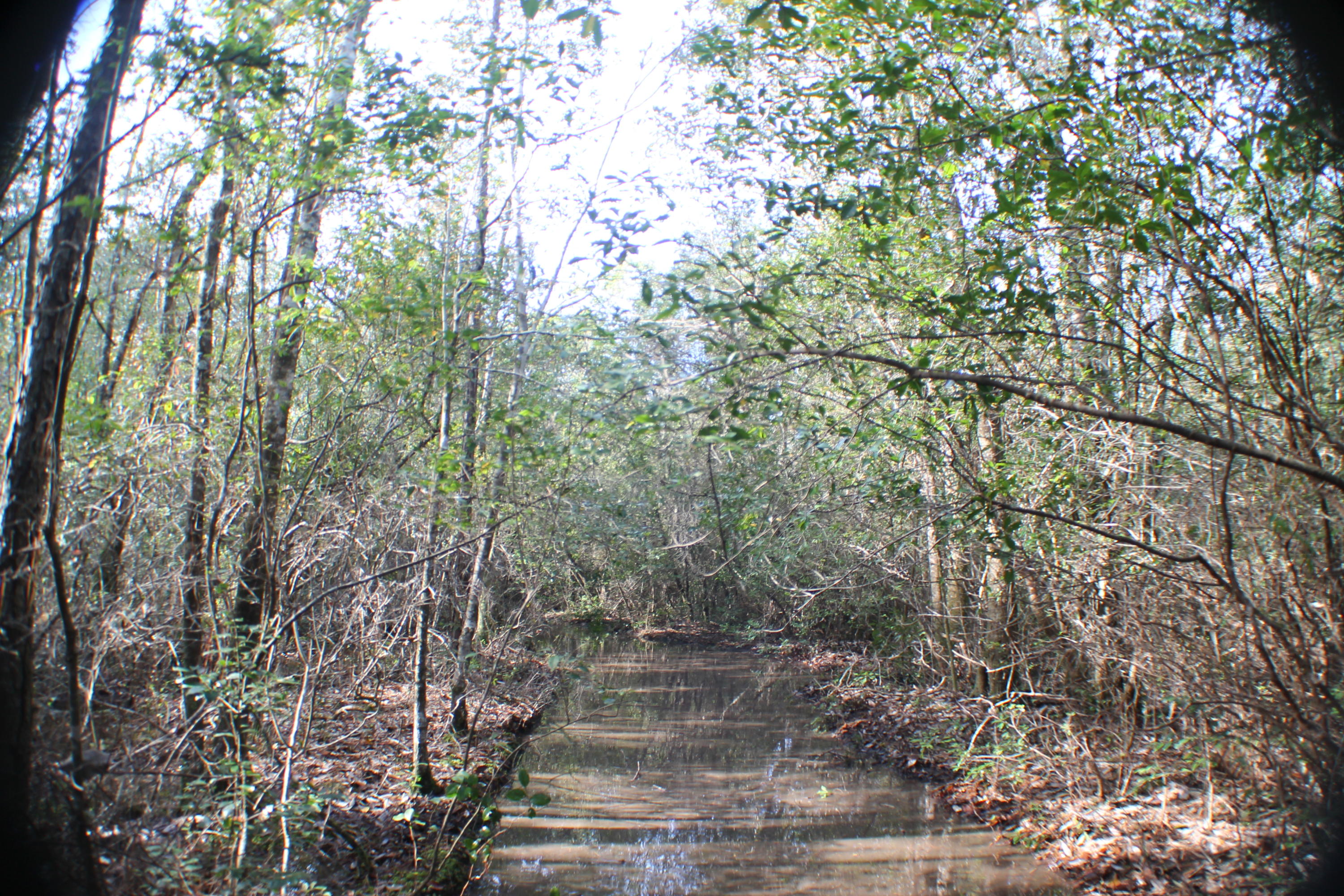 METES & BOUNDS - Land