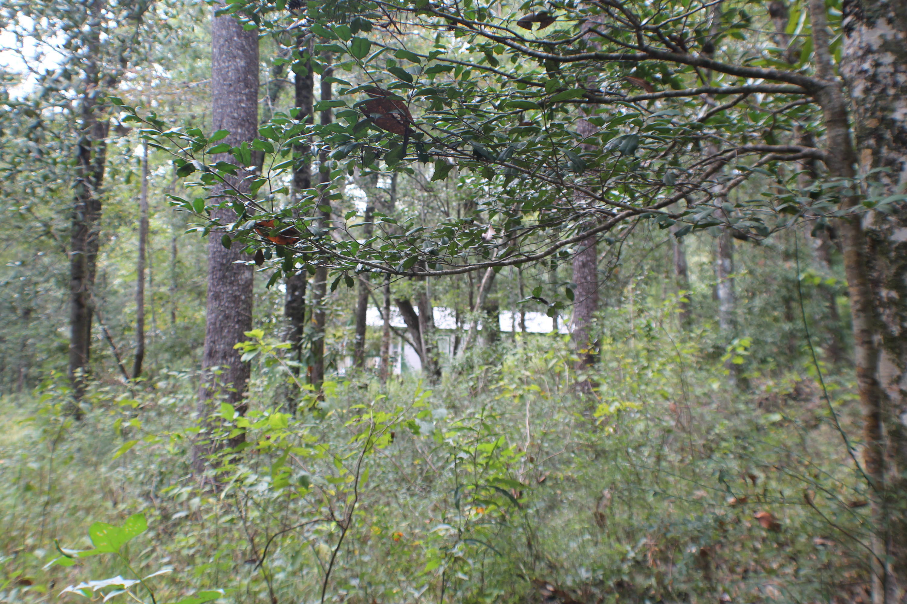 METES & BOUNDS - Land