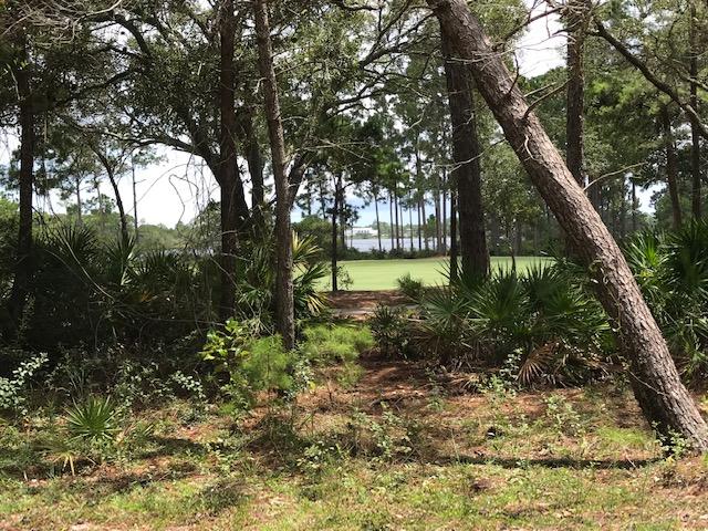 WILD HERON PHASE I - Land