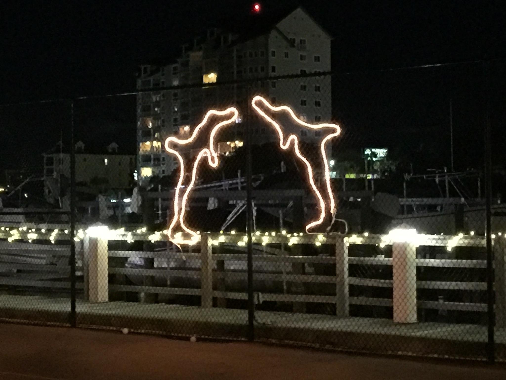 DOLPHIN POINT CONDO - Residential