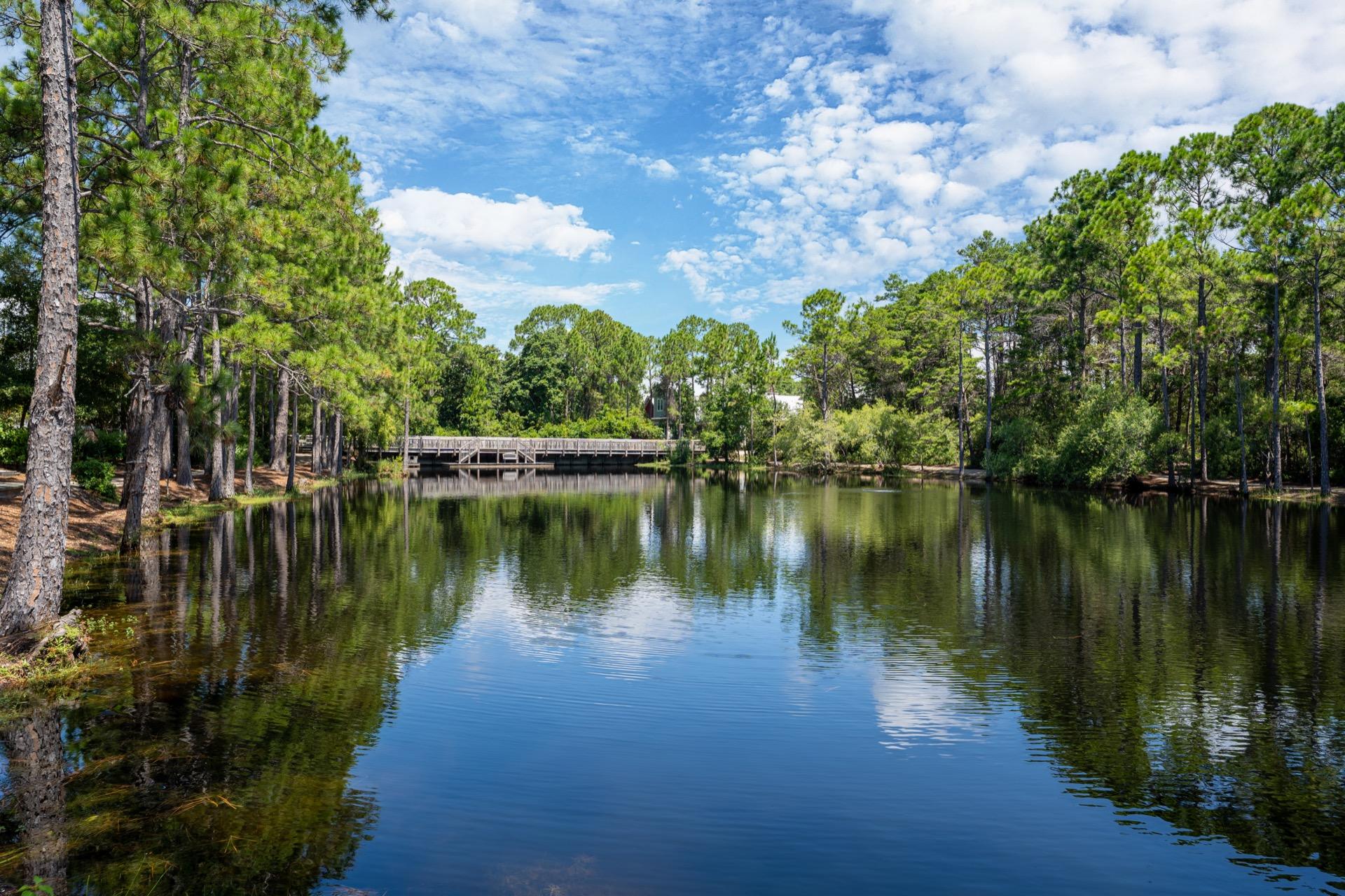 FOREST LAKES PH II - Land