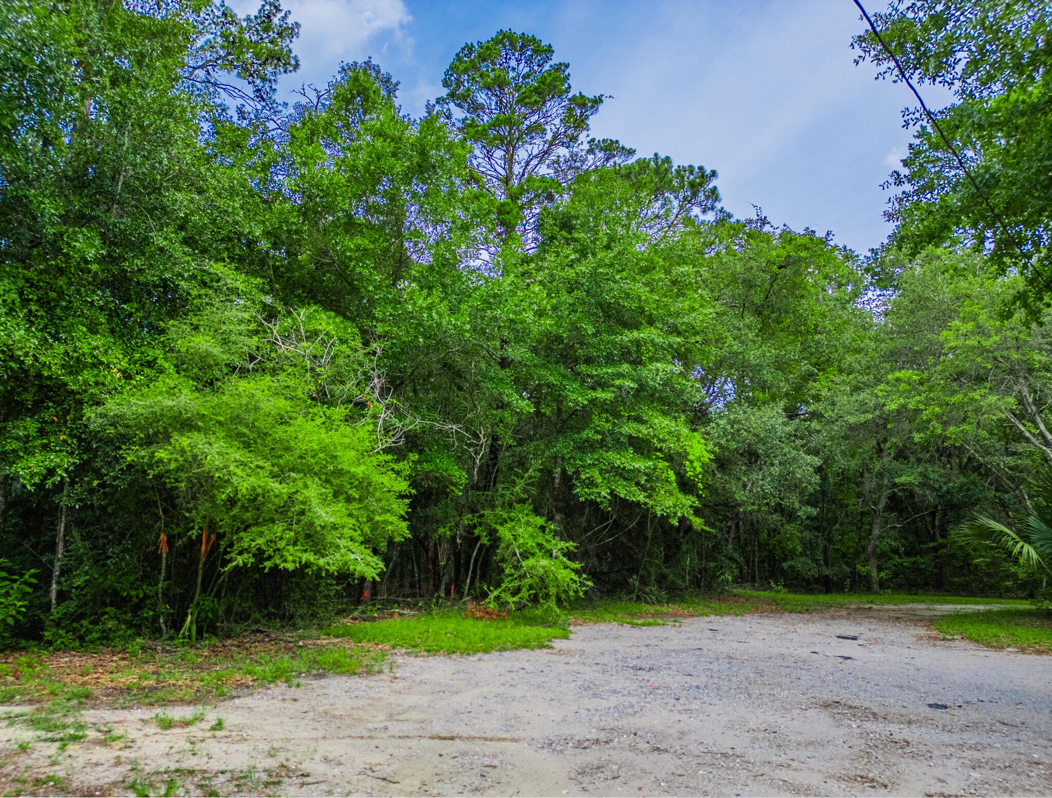 Incredibly beautiful lot of approx.18 acre for you to build your dream home in the small-quaint, community of Peachtree Heights! Location is key and this lot is nestled amid Point Washington, an area that is one of the most sought-after areas in Santa Rosa Beach Florida. No HOA and/or restrictions. This cul-de-sac lot is one street over from Peach Creek which leads to the Intercoastal waterway. The waterway connects the Choctawhatchee Bay to West Bay in Panama City. Eden State Park is just a quick walk or bike ride away & there is a public launch just a short distance on Tucker Bayou that leads to the Choctawhatchee Bay. Heading south approx. 5 miles on Hwy 395 will lead into Seagrove Beach, Grayton Beach & the many more pristine sandy white beaches of Florida's Emerald Gulf Coast. Conveniently located near wonderful shopping, great schools, fine dining and multitude of entertainment opportunities from 30a to Destin and Panama City Beach.
Other nearby mentions include: Emerald Coast Middle School, Dune Lake Elementary School, South Walton High School all within 5 miles of this lot. Publix just a short few miles way too.
Marie Drive is a one-shot road off Hwy 98 and the lot is at the dead-end on the left. The owner had a recent Wetland's Study completed (2024) and the lot is deemed 100% uplands, which means no wetlands. If you have been searching very long, you know finding a lot that does not have wetlands issues is becoming more rare... Act today to secure this incredible lot that is just waiting for you to build your dream house and call it HOME!!
Buyers to verify all matter of importance.