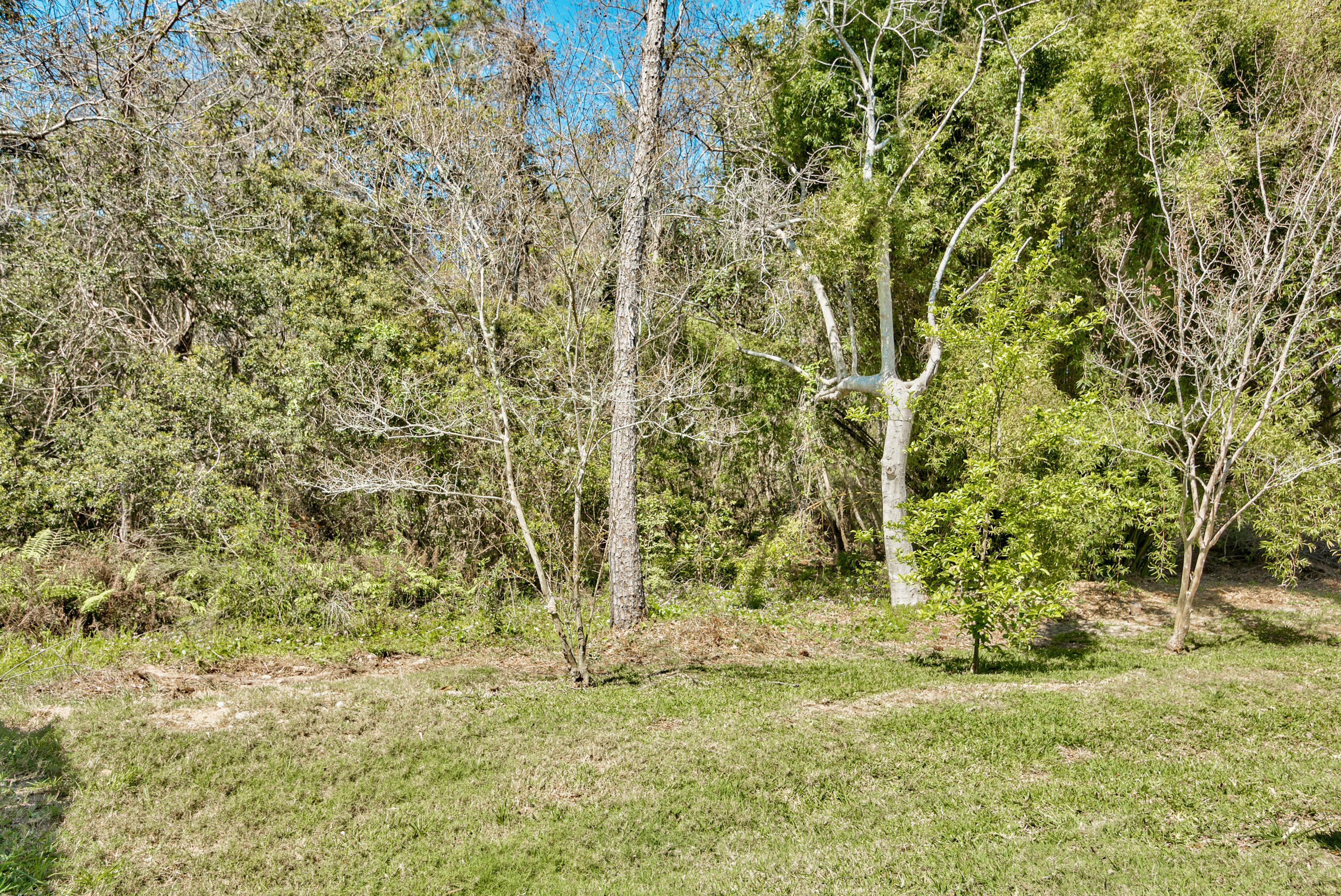 DOLPHIN ROAD CONDOS - Residential