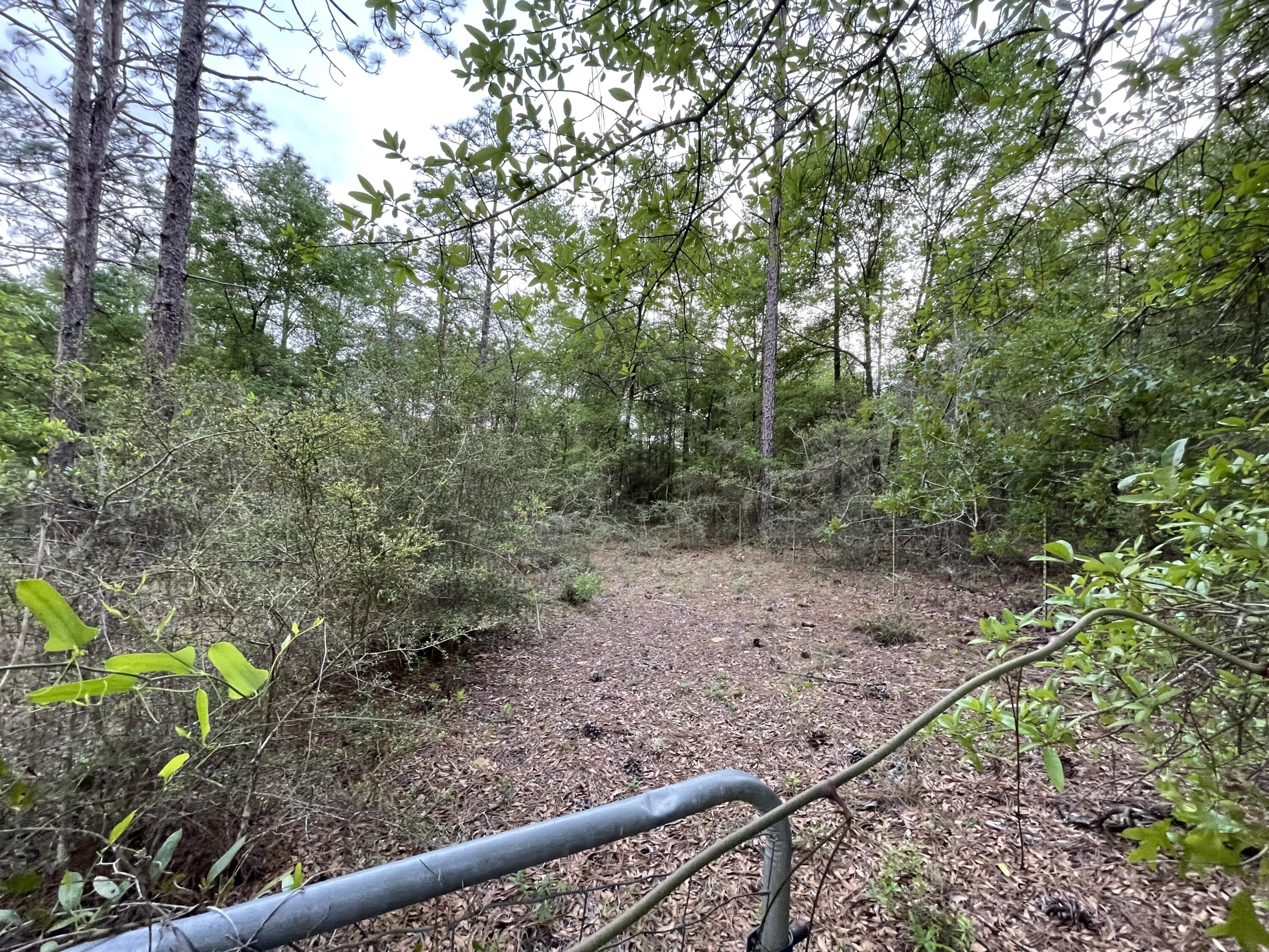 DEER RUN ACRES UNREC S/D - Residential