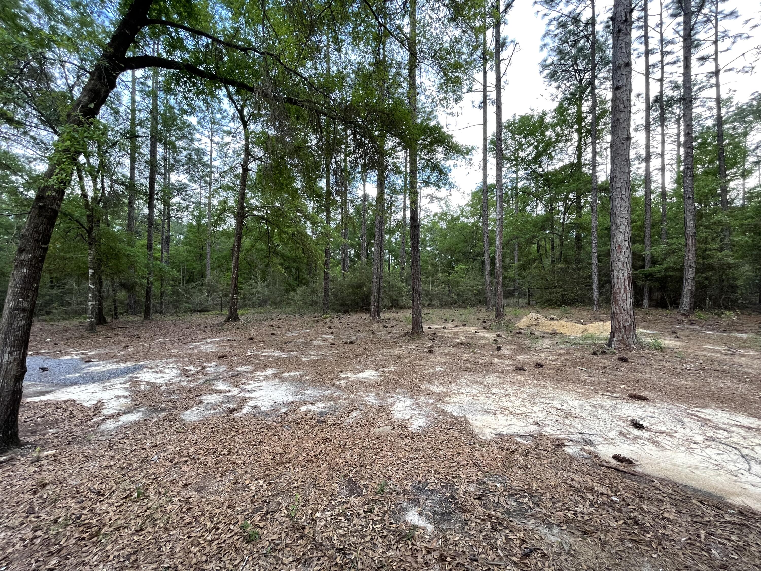 DEER RUN ACRES UNREC S/D - Residential