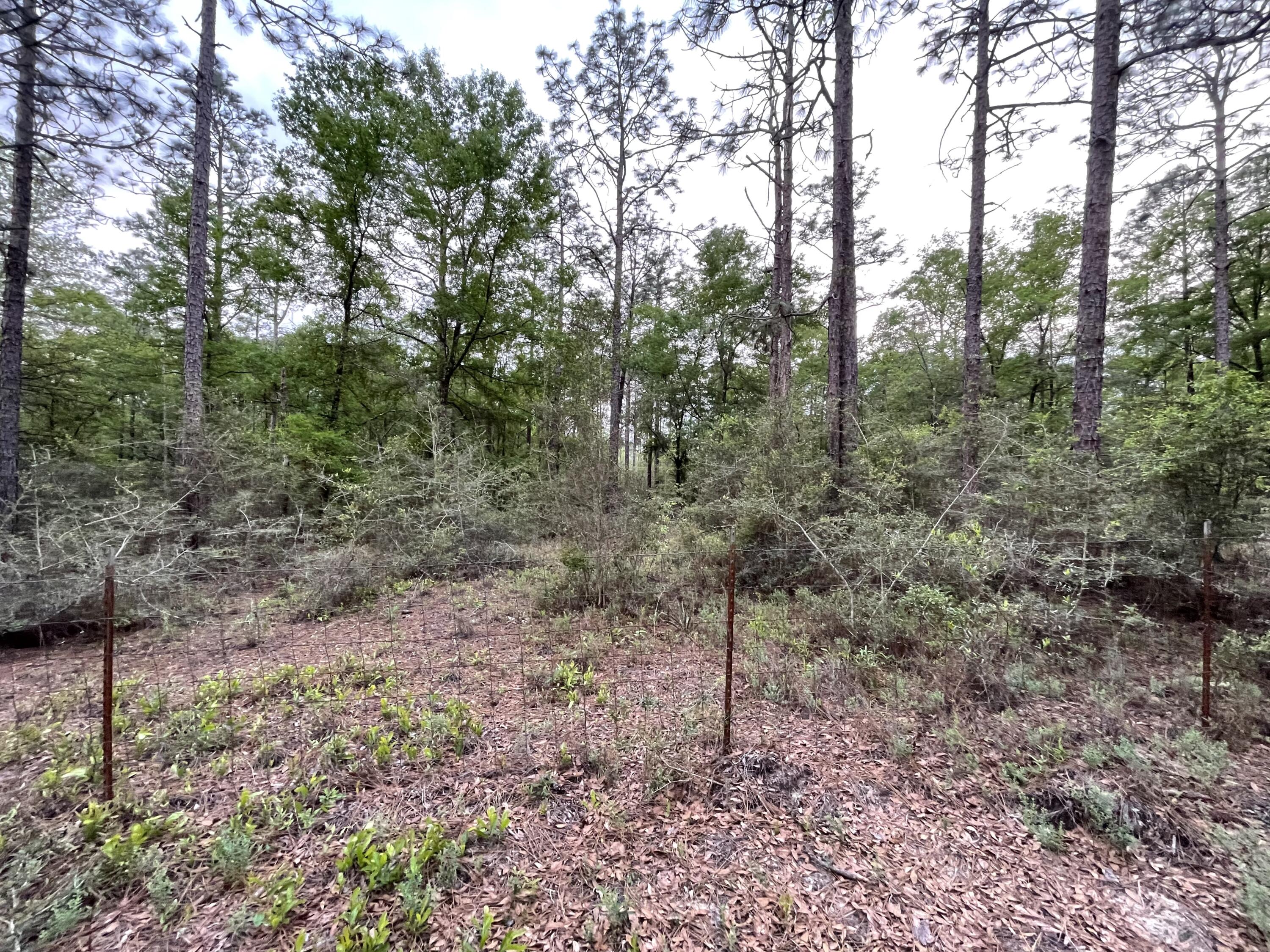 DEER RUN ACRES UNREC S/D - Residential