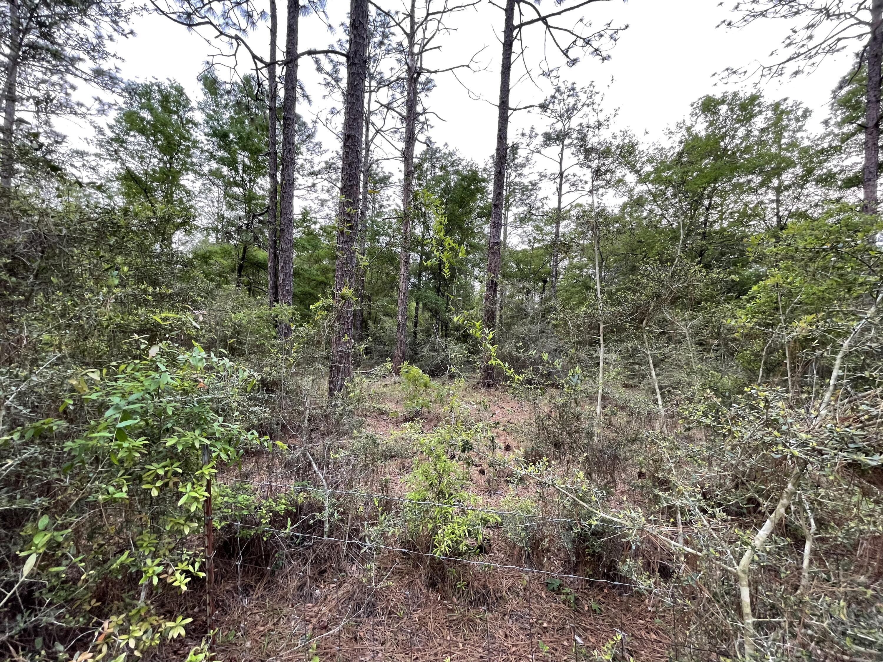 DEER RUN ACRES UNREC S/D - Residential