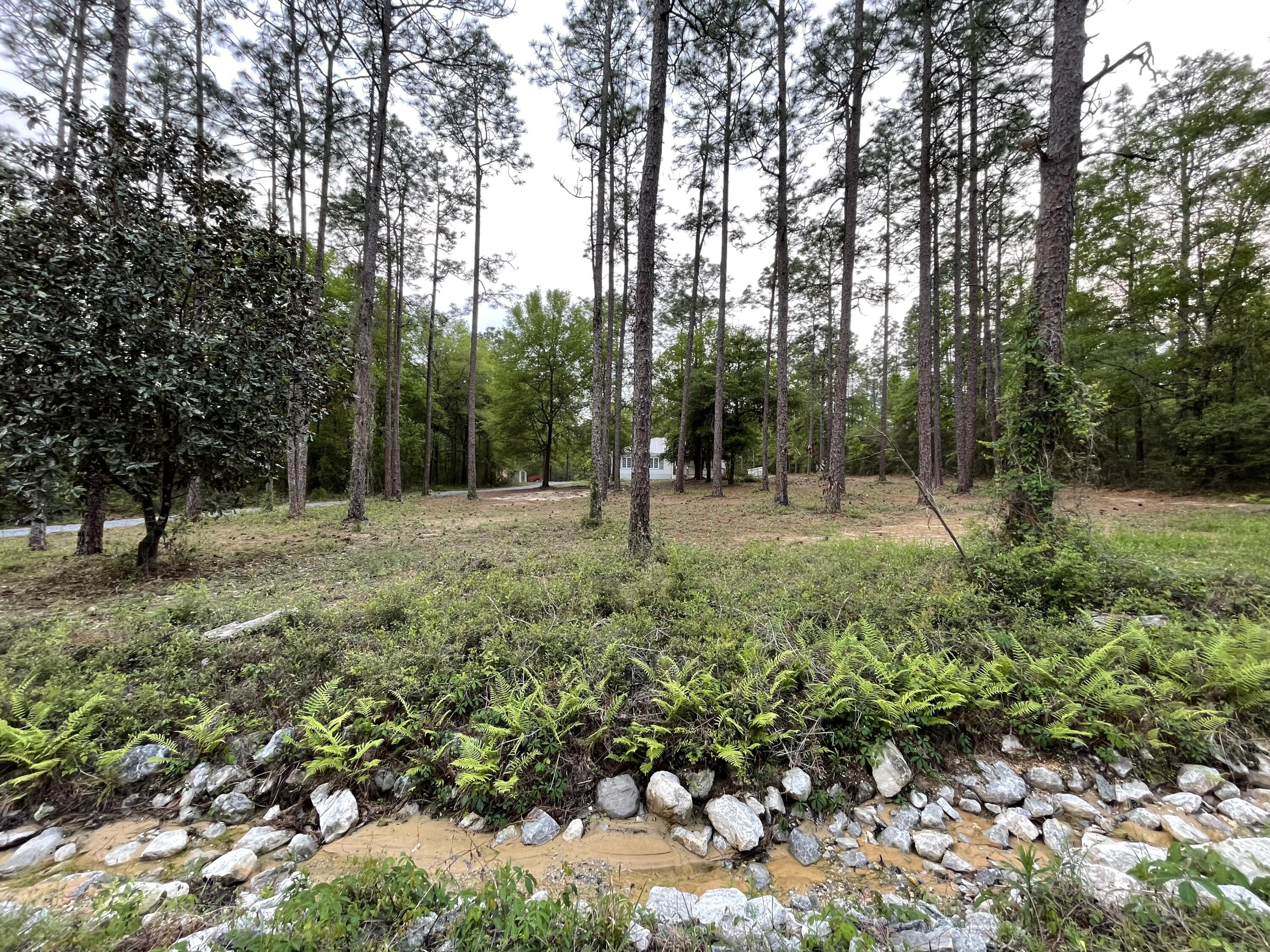 DEER RUN ACRES UNREC S/D - Residential