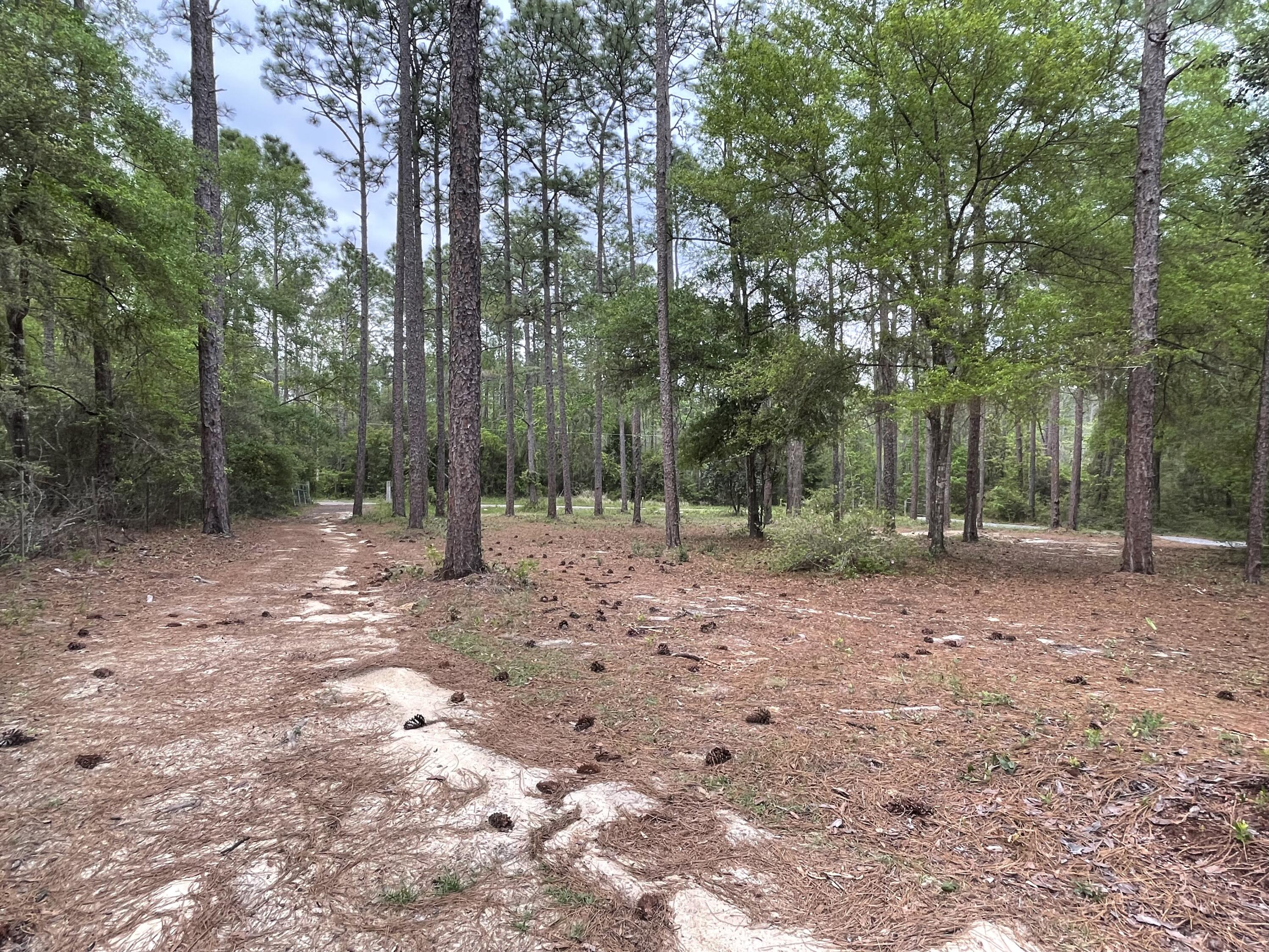 DEER RUN ACRES UNREC S/D - Residential