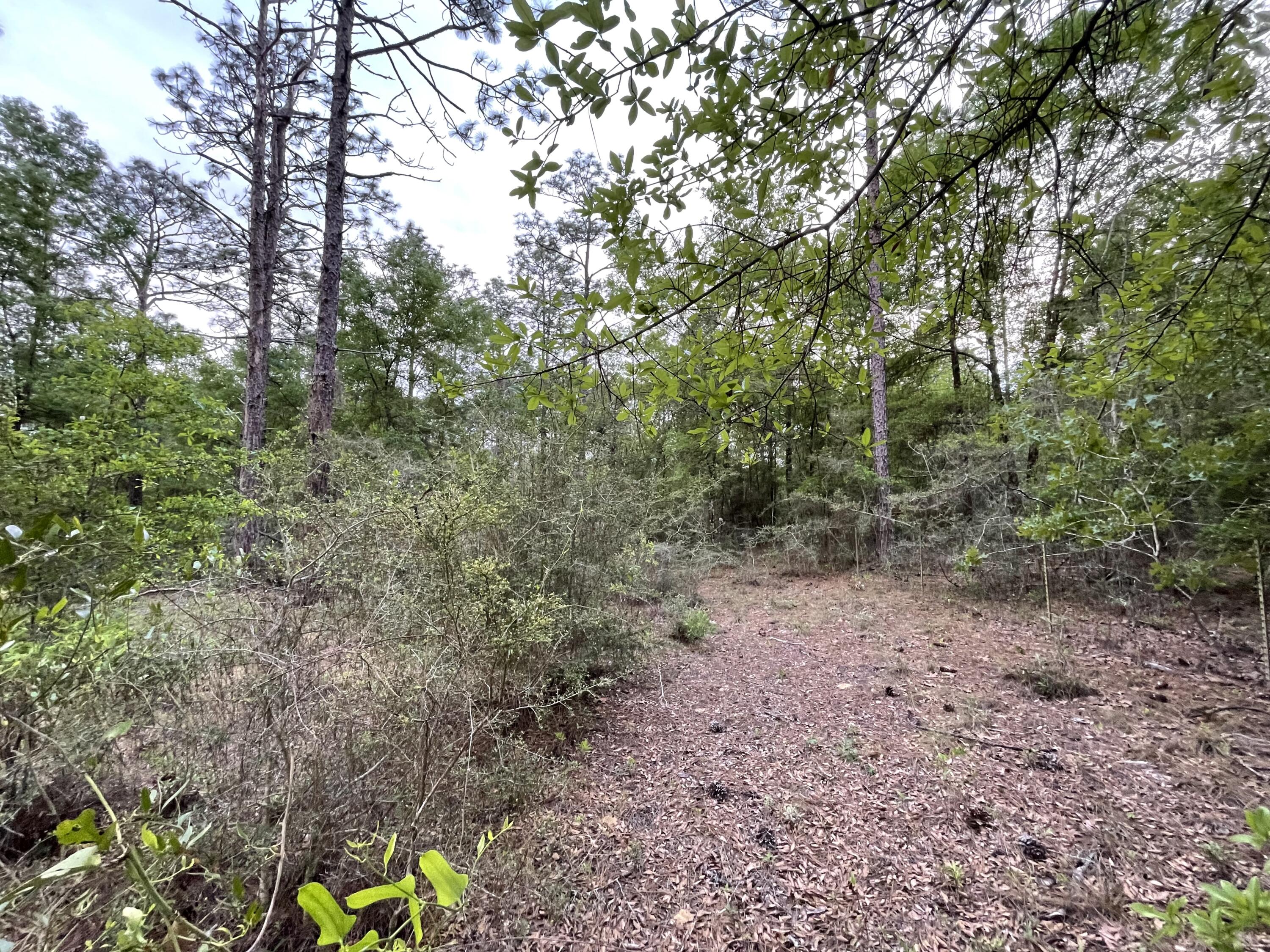 DEER RUN ACRES UNREC S/D - Residential