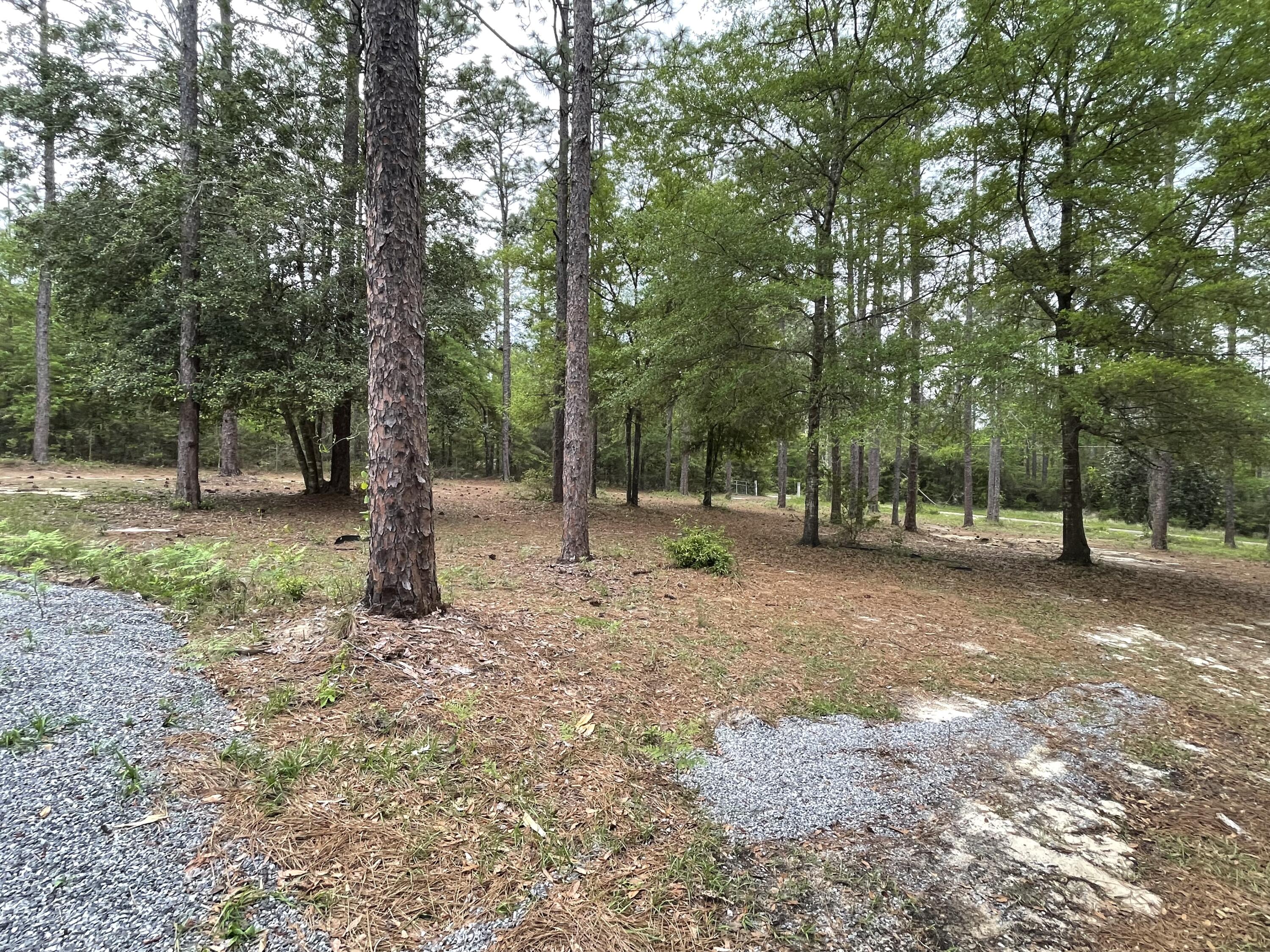 DEER RUN ACRES UNREC S/D - Residential