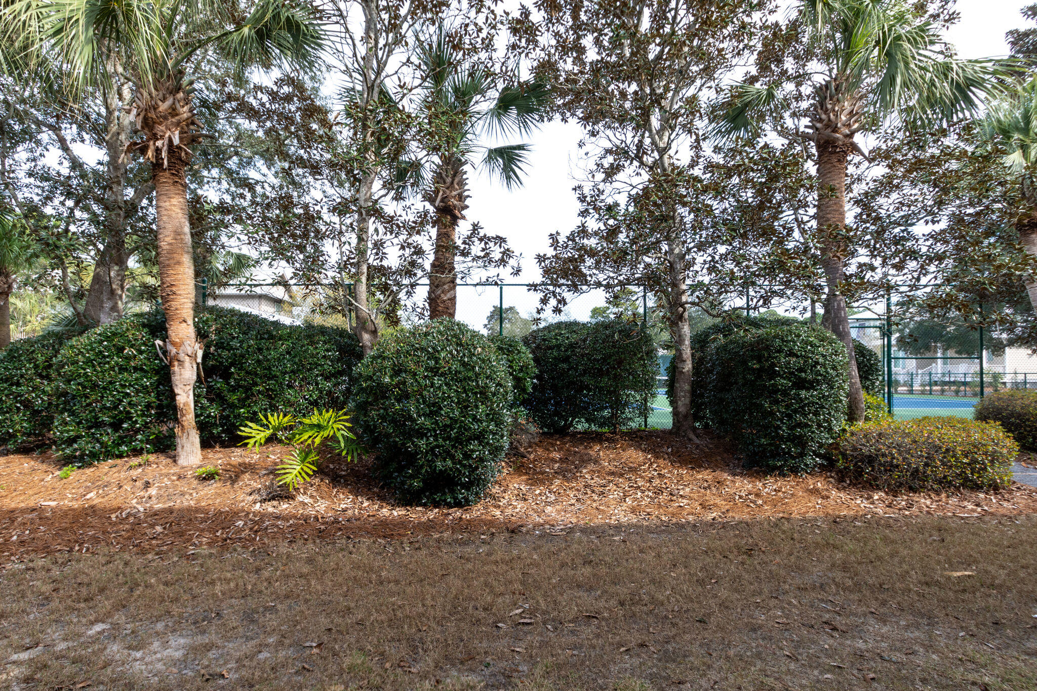 CASSINE GARDENS T/H PH 4 - Residential