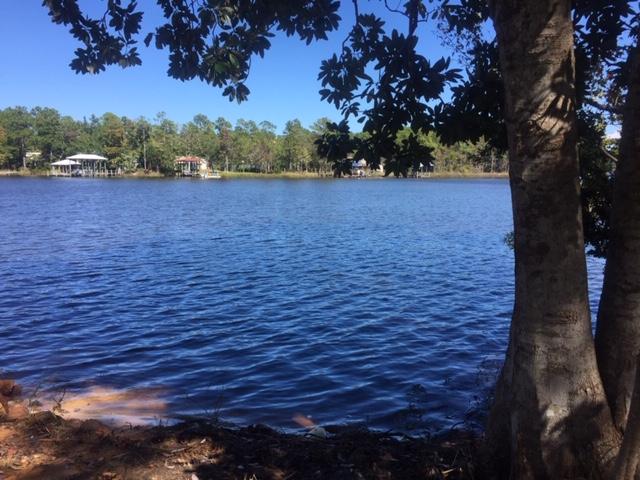 Here it is! The perfect waterfront lot to build your dream home on Mallet Bayou. Enjoy the bayou for all of your favorite water sports, kayak, paddle board, boating and fishing. This homesite is even close to Hwy 331 and the bridge to the beaches of South Walton.