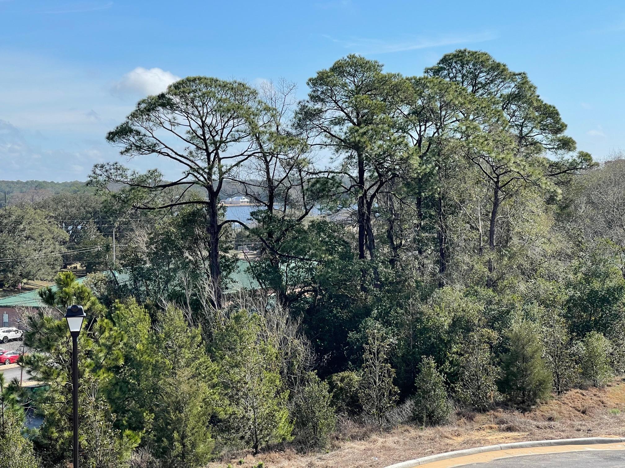 Hideaway Ridge - Residential