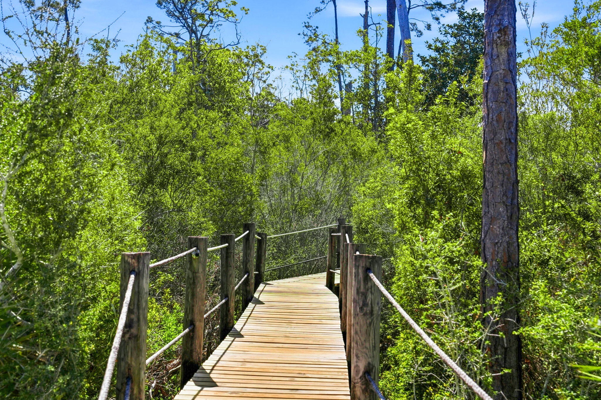 PELICAN BAY - Residential