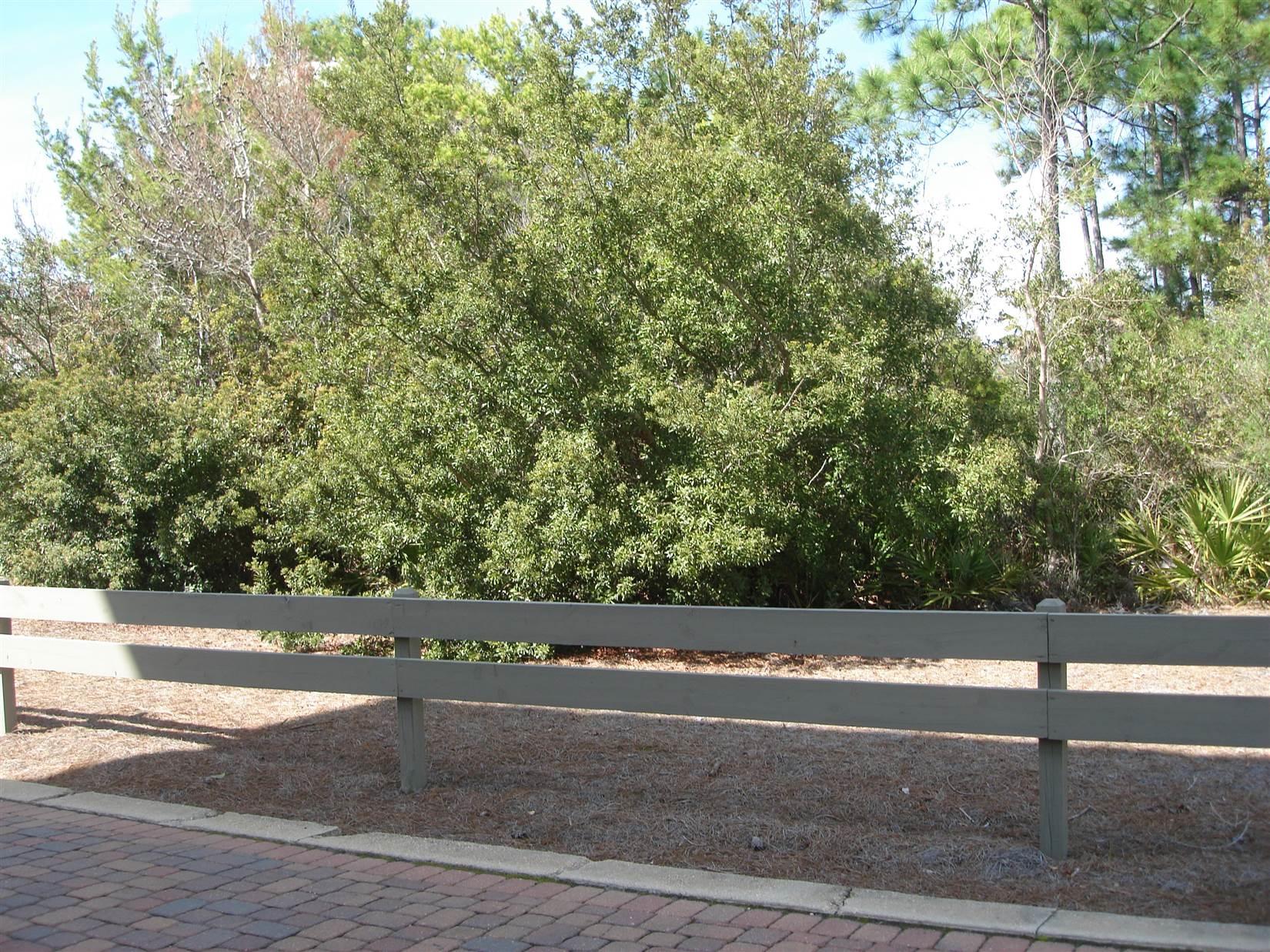 Palmeira Villas at Seagrove - Land