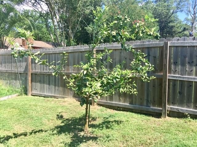 FOREST PARK - Residential Lease