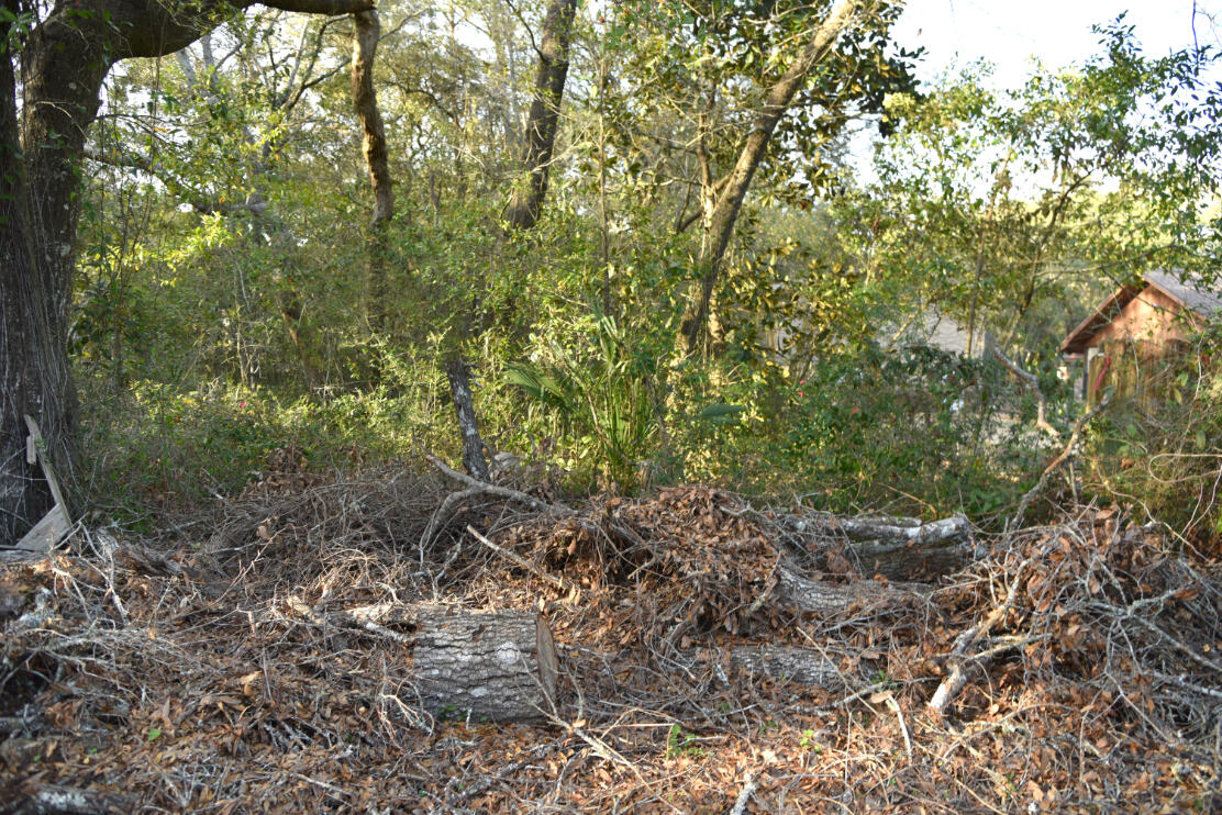 BRIARWOOD S/D - Land