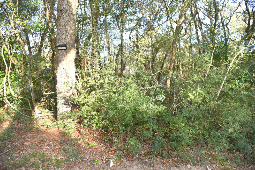 BRIARWOOD S/D - Land