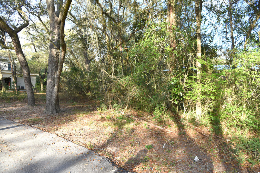 BRIARWOOD S/D - Land