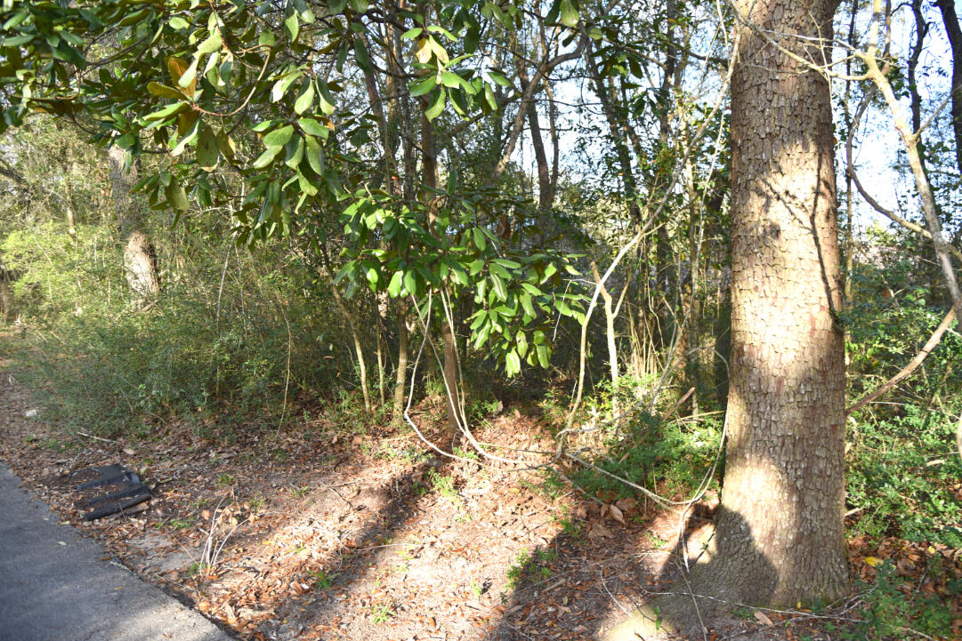 BRIARWOOD S/D - Land