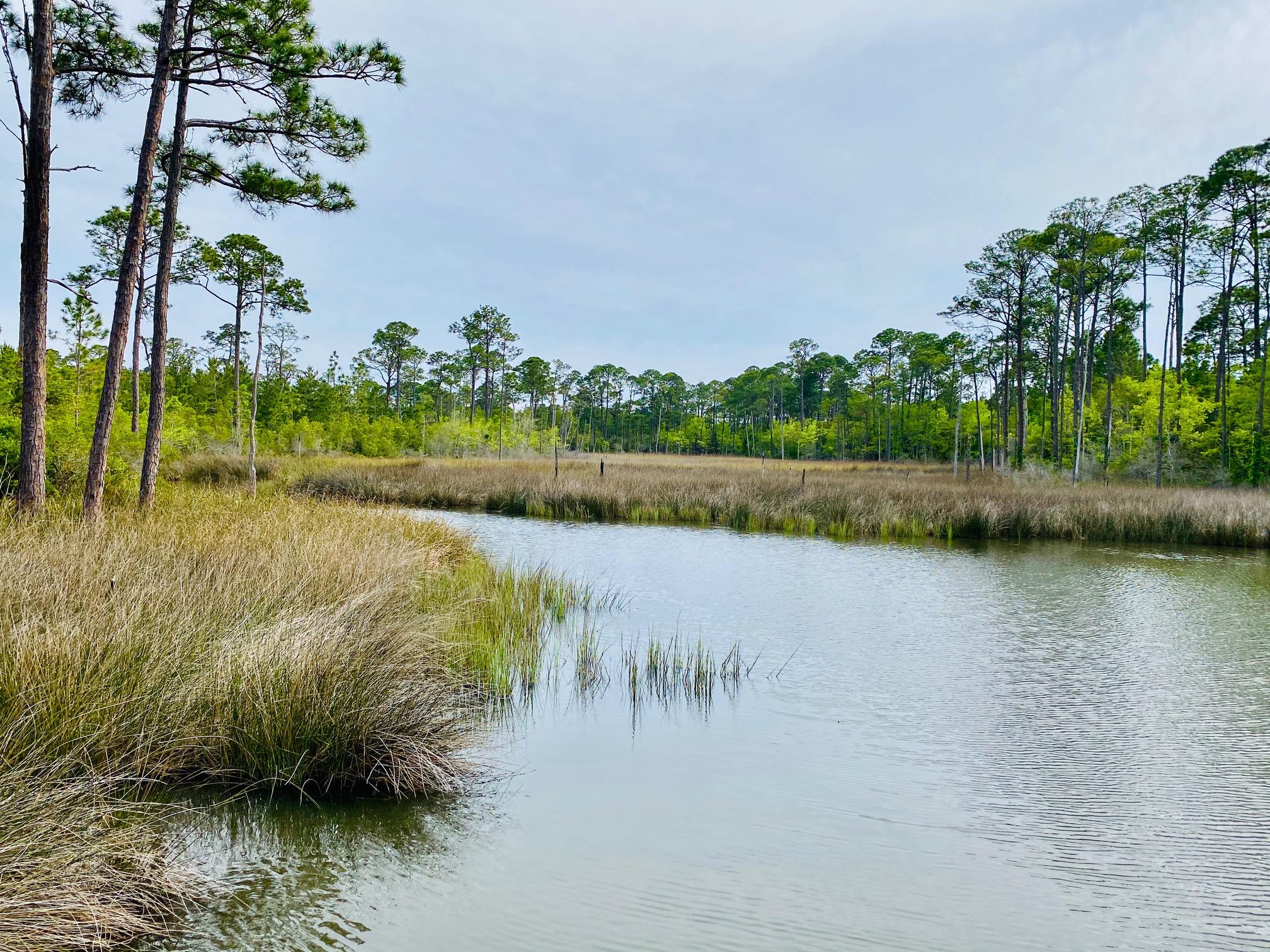 BAYOU POINT - Residential Lease