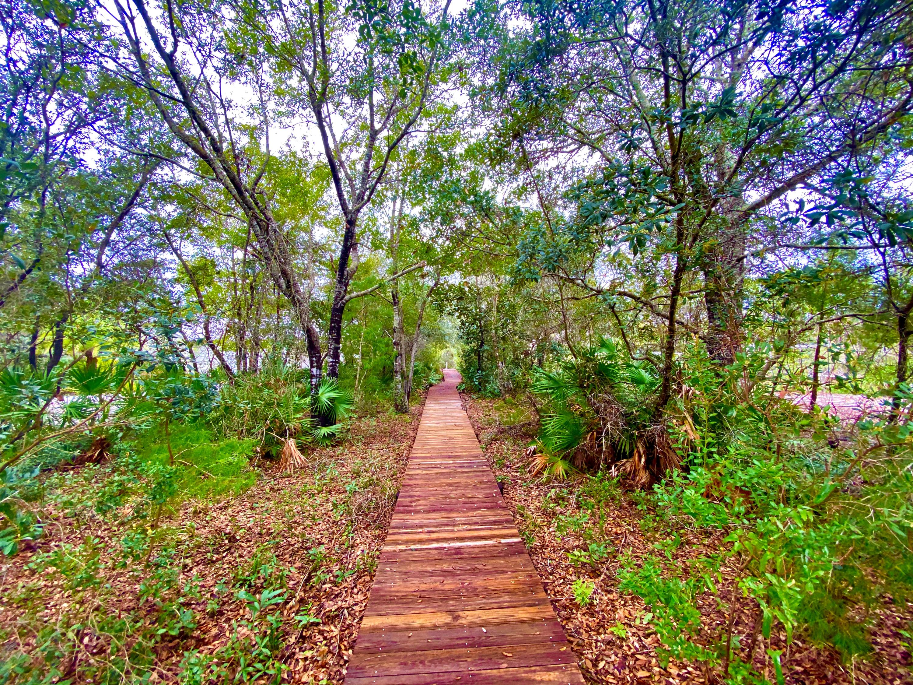 BAYOU POINT - Residential Lease