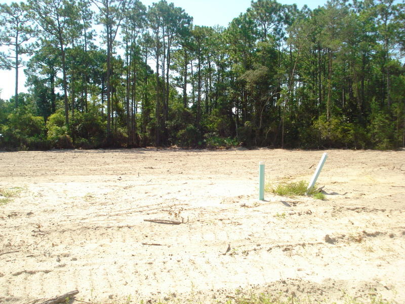 Magnolia Woods phase II - Residential