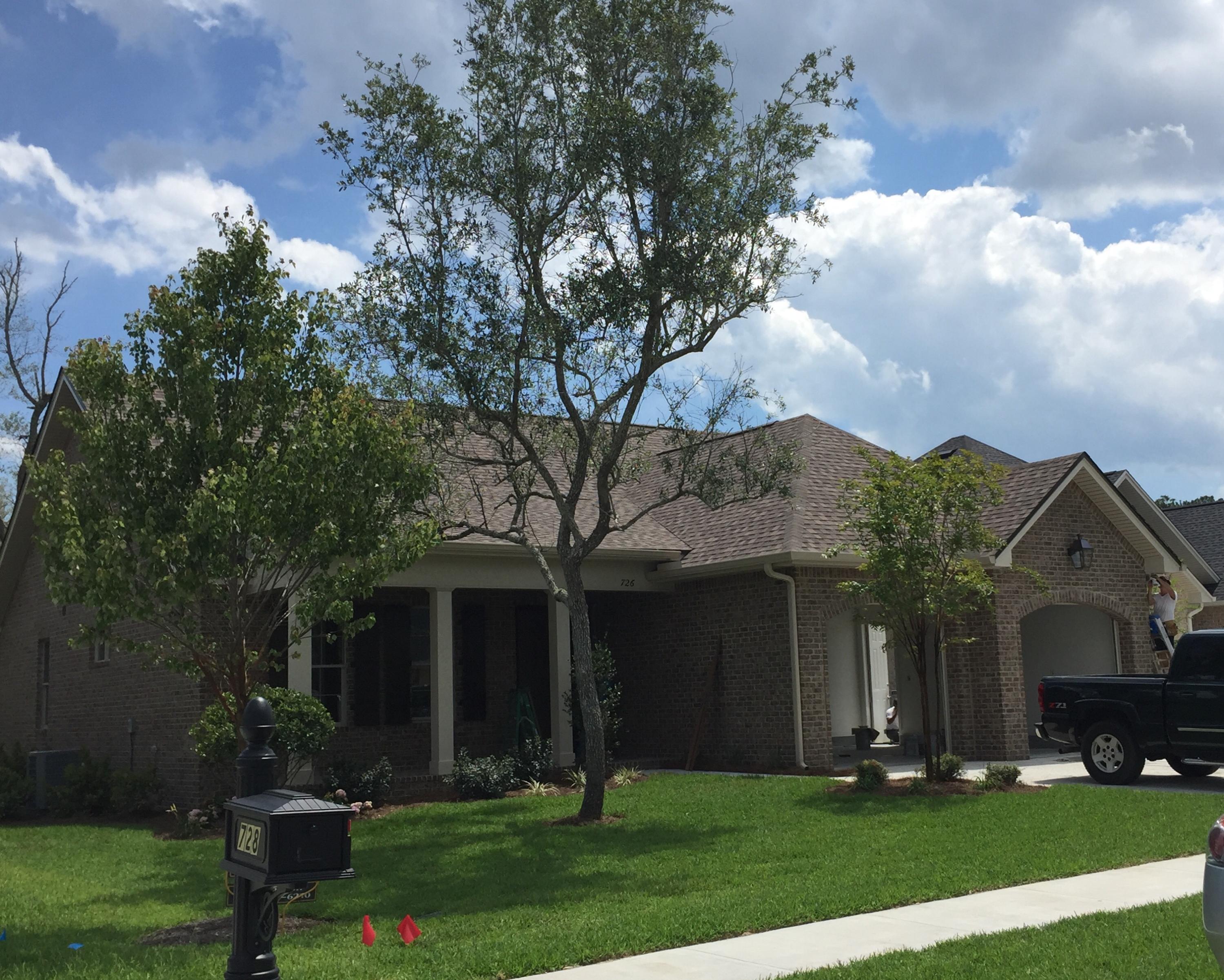 Magnolia Woods phase II - Residential