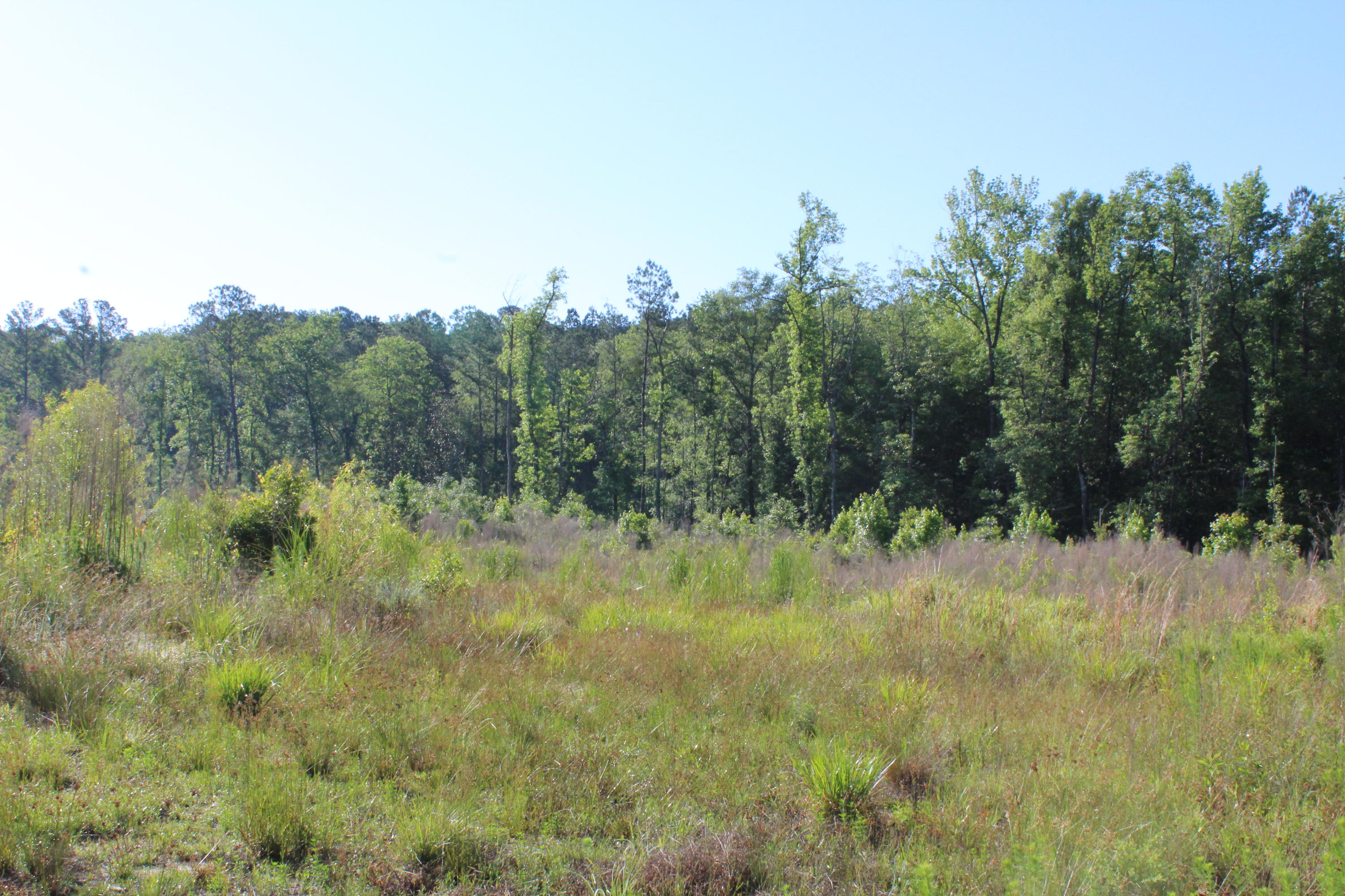 metes and bounds - Land