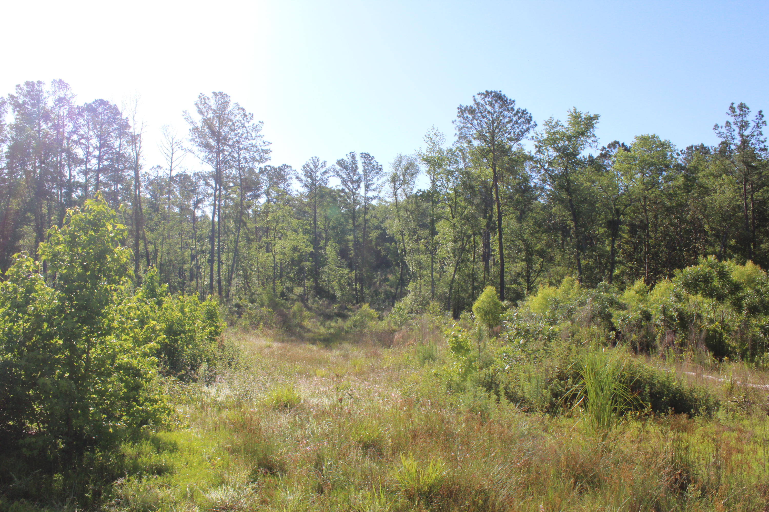 metes and bounds - Land