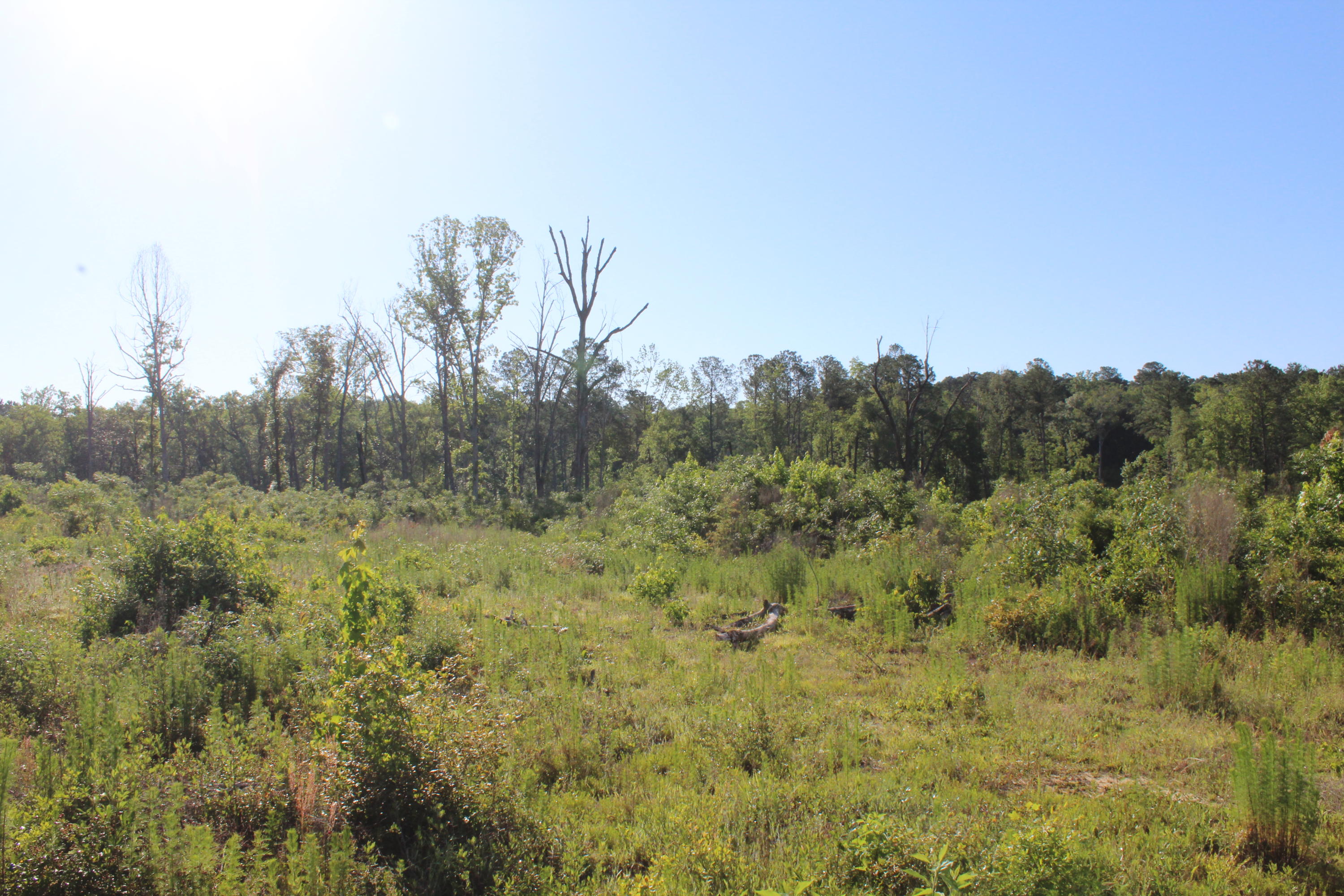 metes and bounds - Land