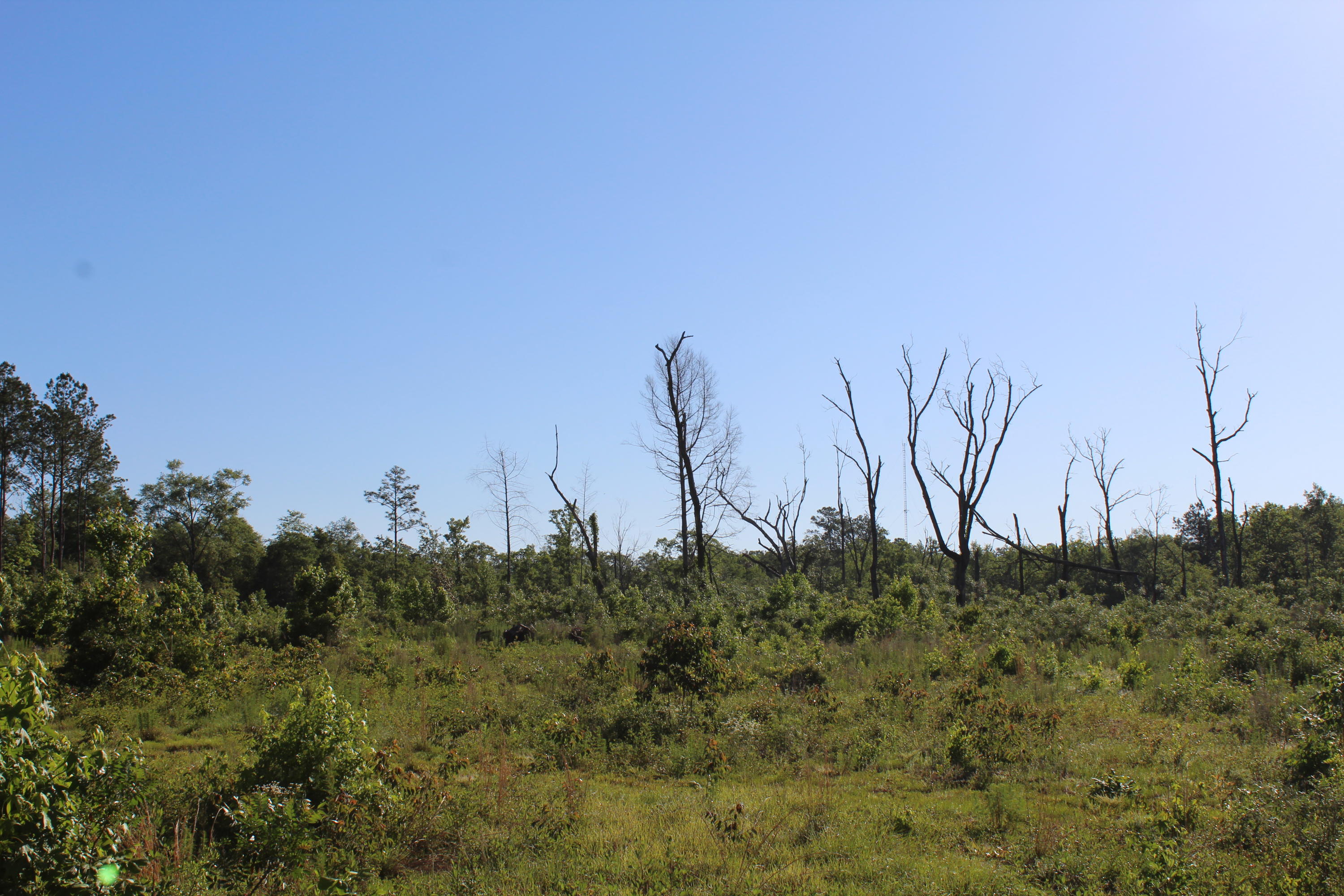 metes and bounds - Land