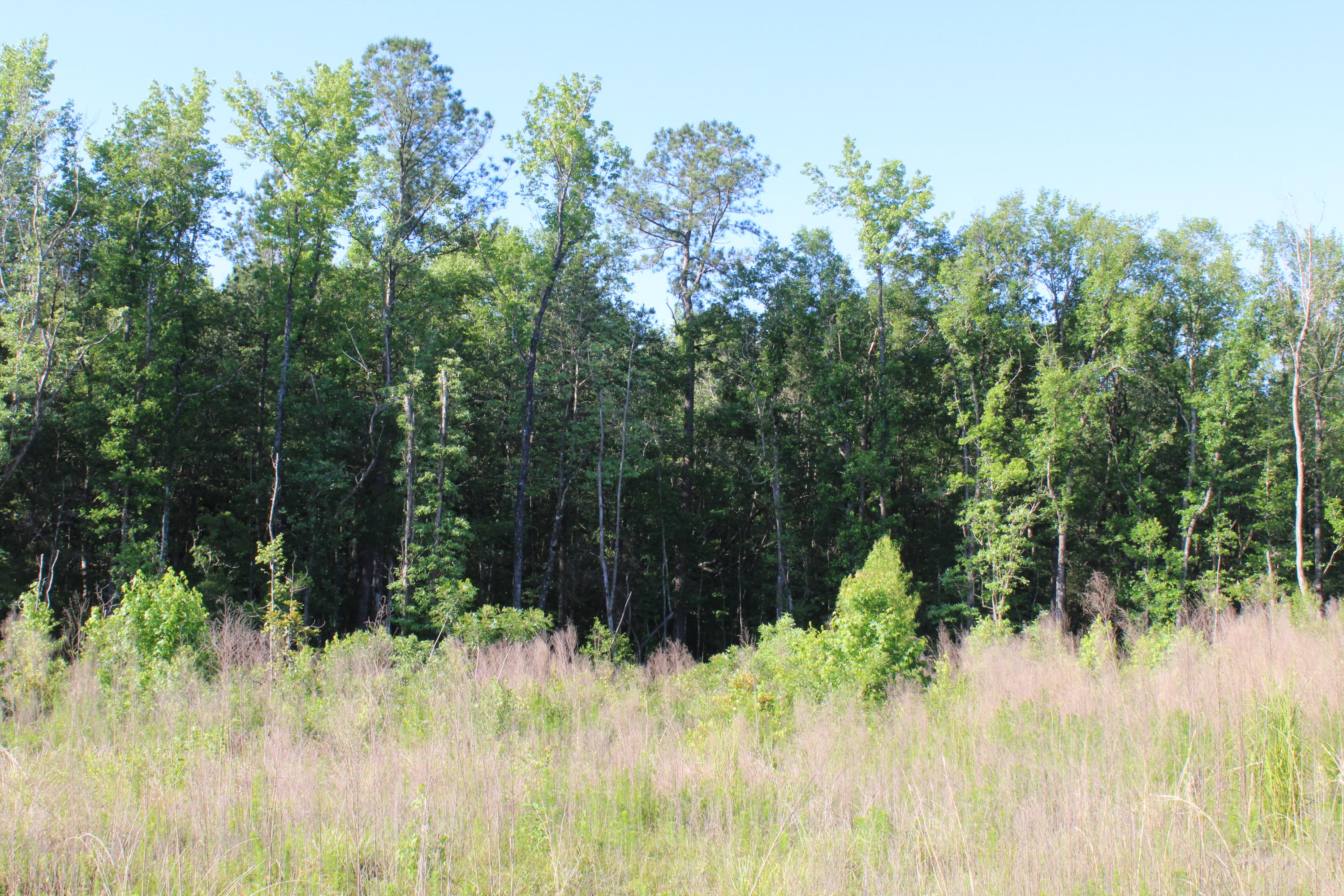 metes and bounds - Land