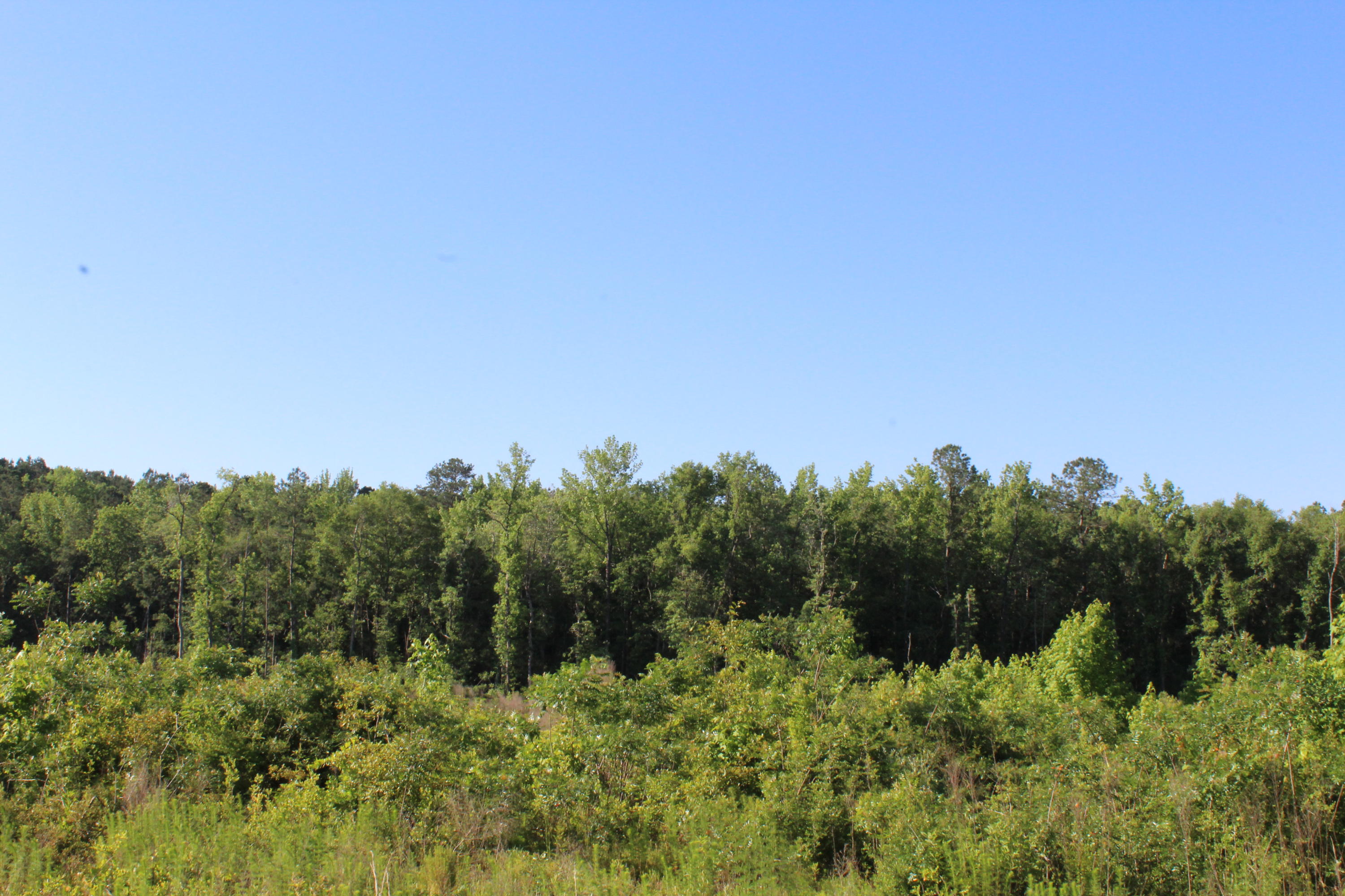 metes and bounds - Land