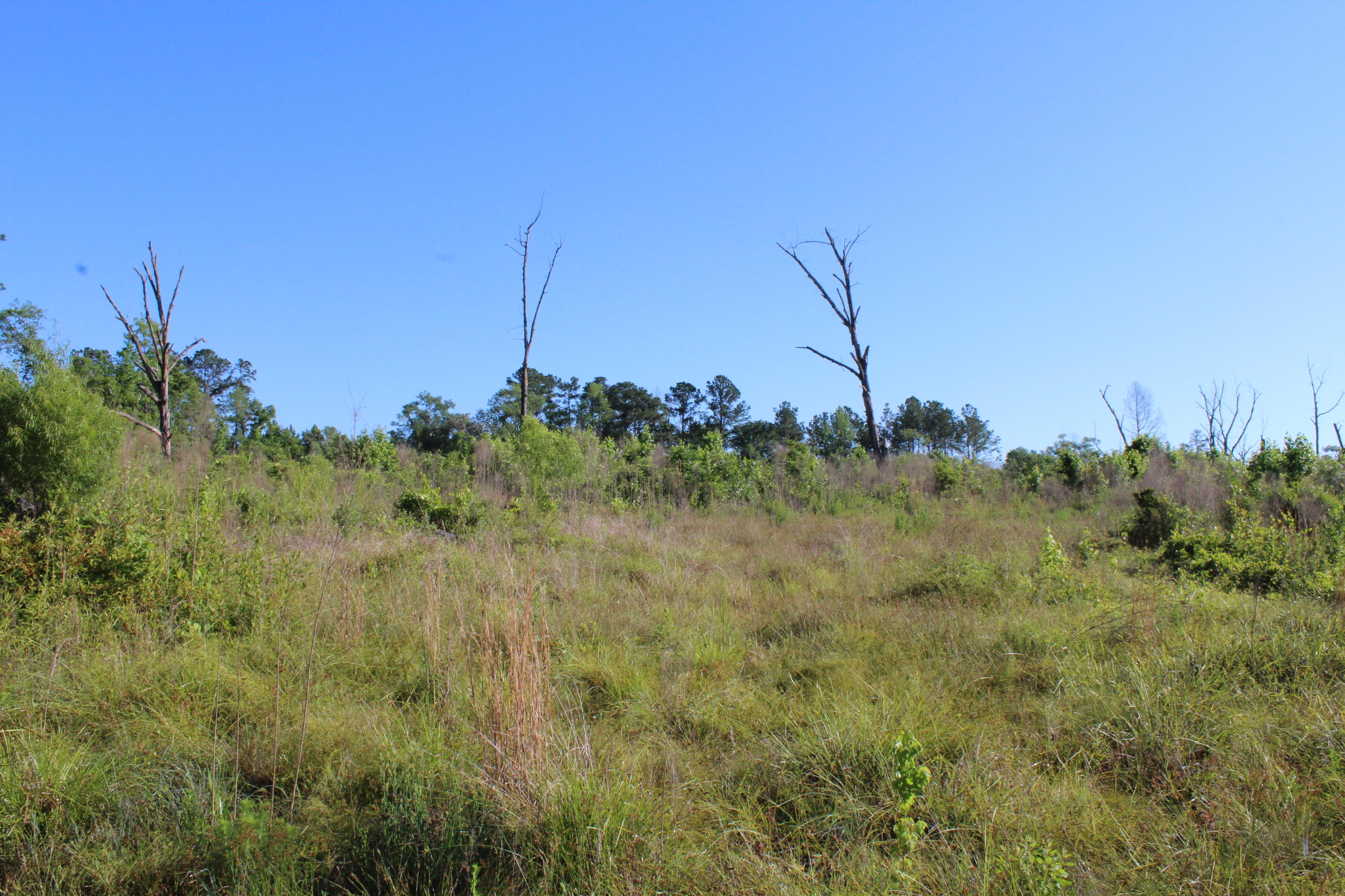 metes and bounds - Land