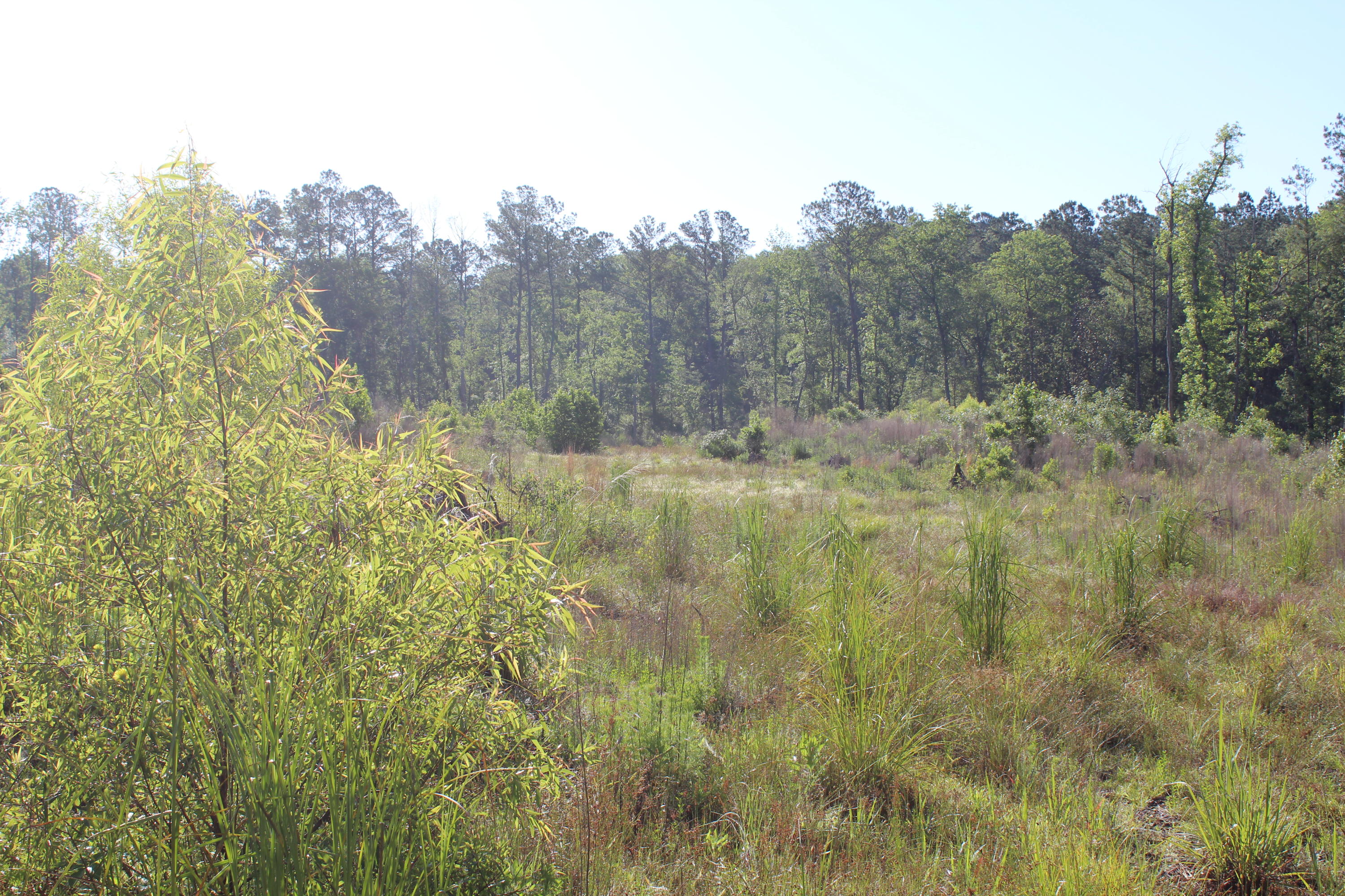 metes and bounds - Land