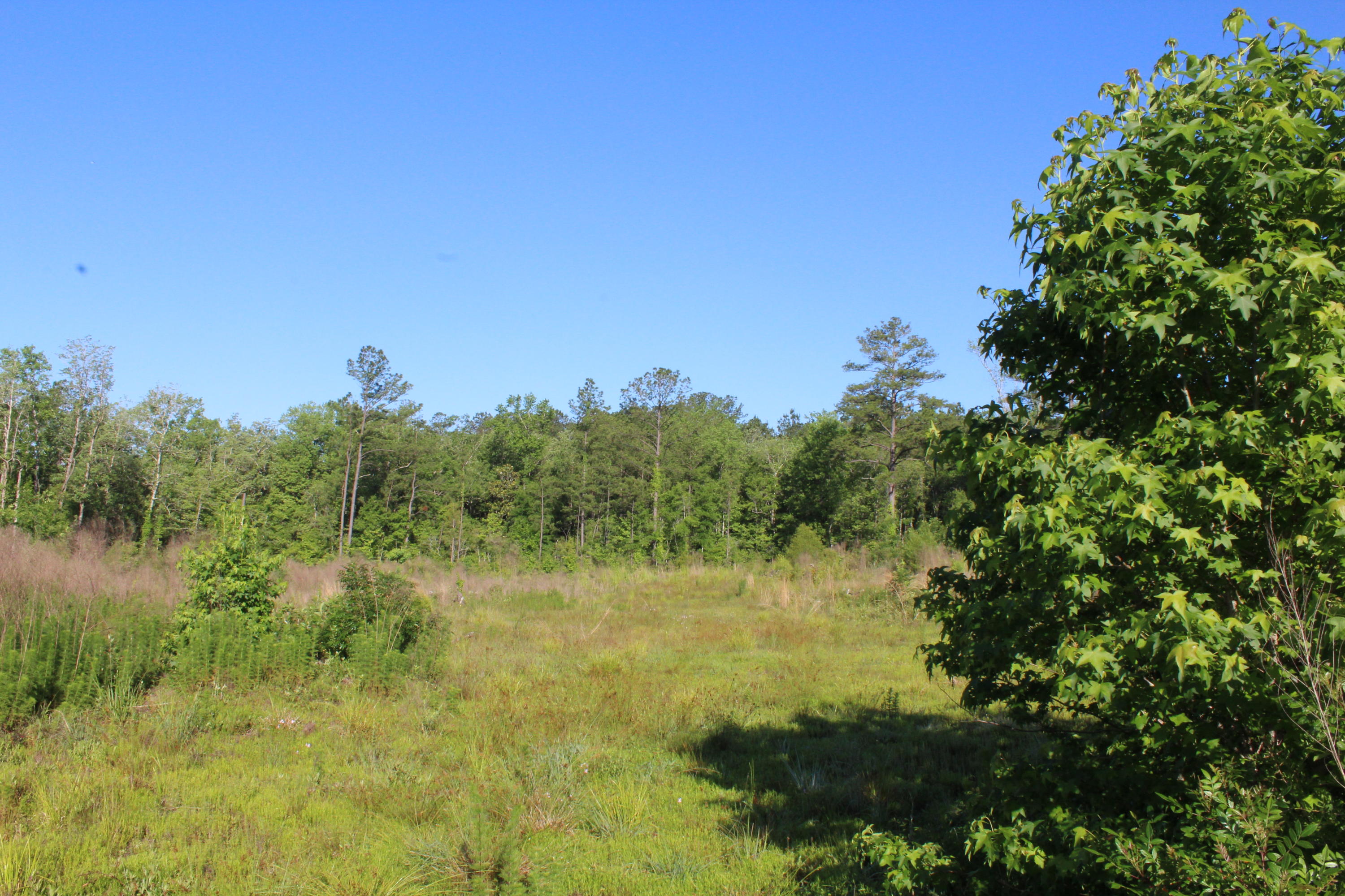 metes and bounds - Land