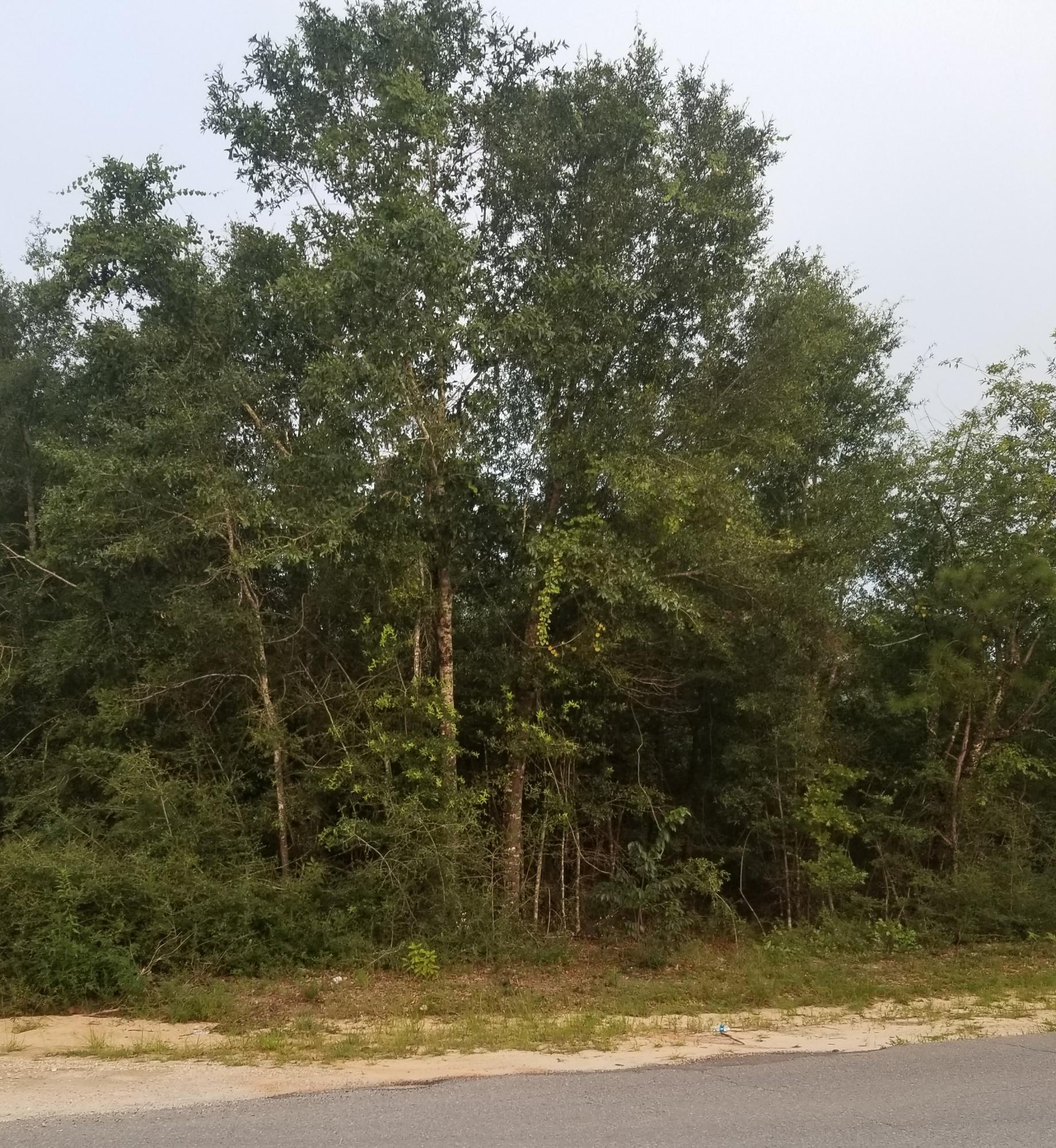 THIS IS A NICE CORNER WOODED LOT WITH WATER TAP.