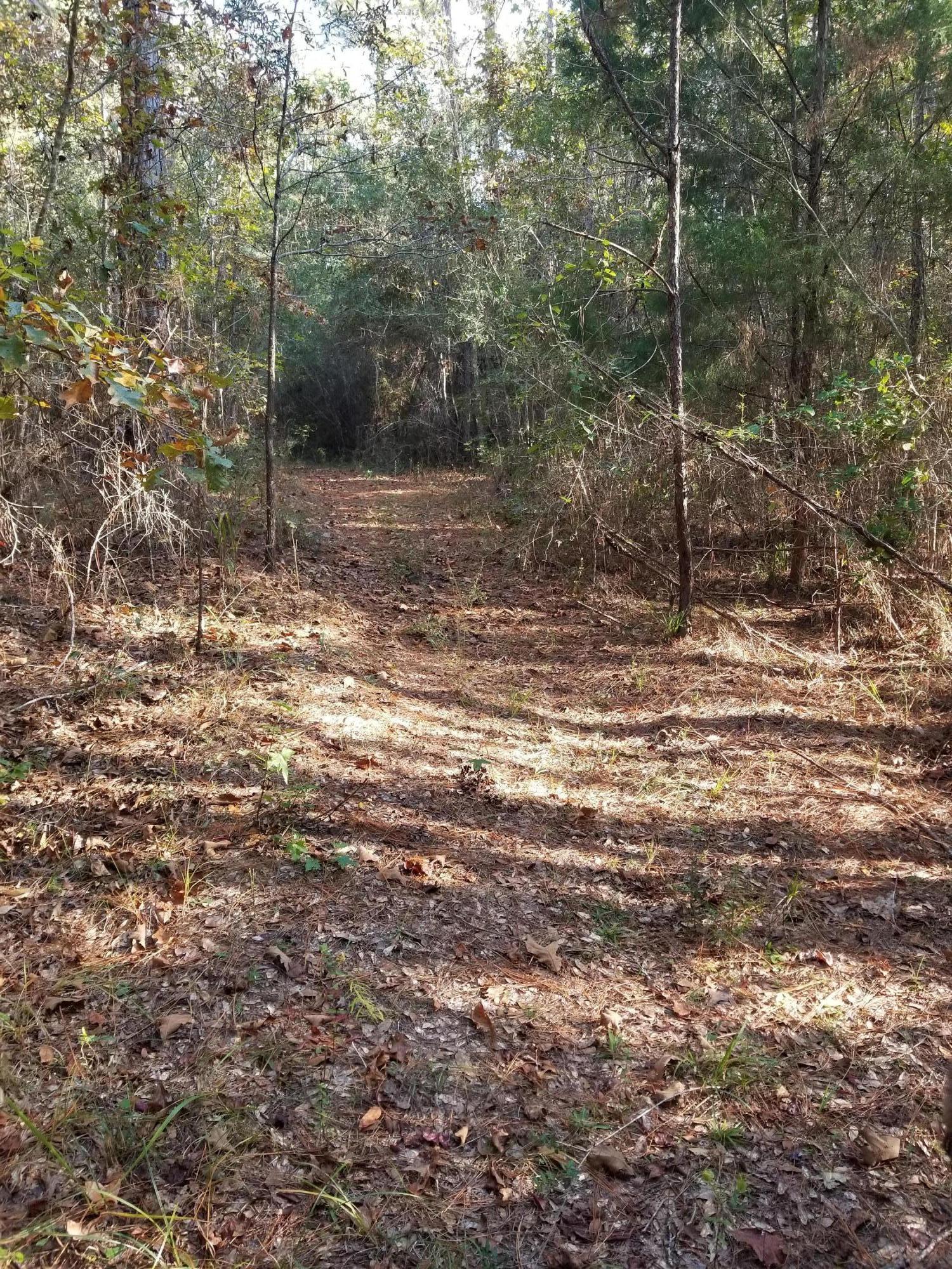 SANDY CREEK TRACT - Land