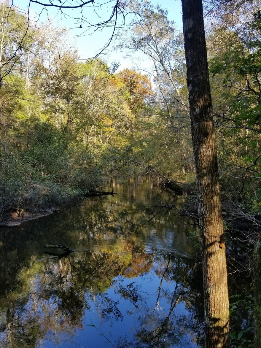 Gorgeous Sandy Creek Tract with abundance of wildlife on the incredible 80 acres. Owner financing is possible. Timber was valued at $40k over 13 years ago.
