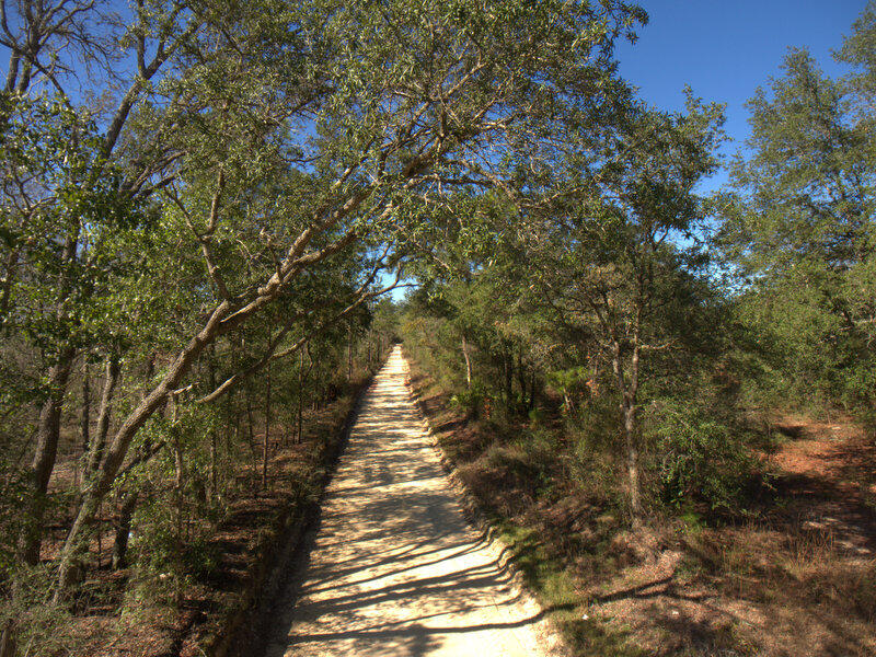 A great piece of property only a few miles from the town of Holt and I-10 access.  The seller has cleared walking trails along property lines to give a general idea and to allow easier access. This parcel has been surveyed and is on file. It is a divided portion from a larger tract. Many wonderful trees and future homesites.