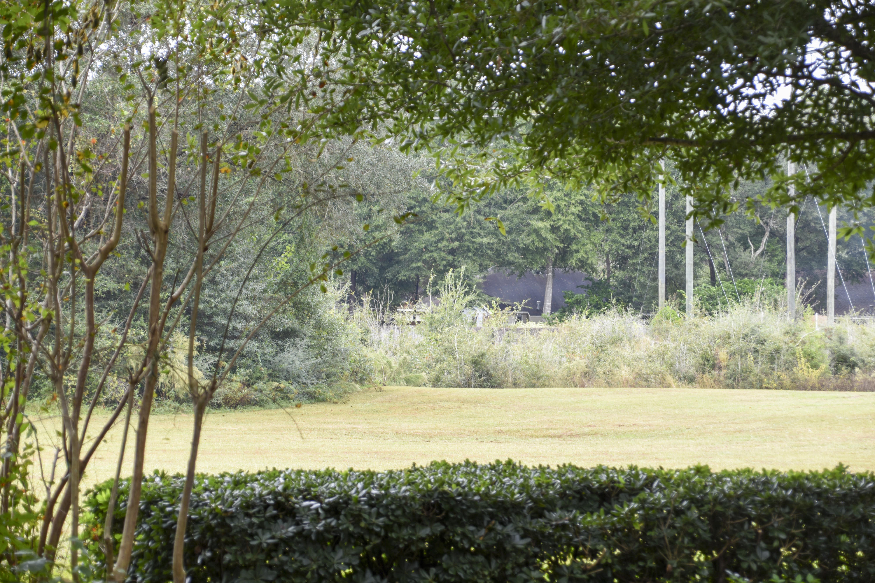 TIMBERLINE ESTATES - Residential