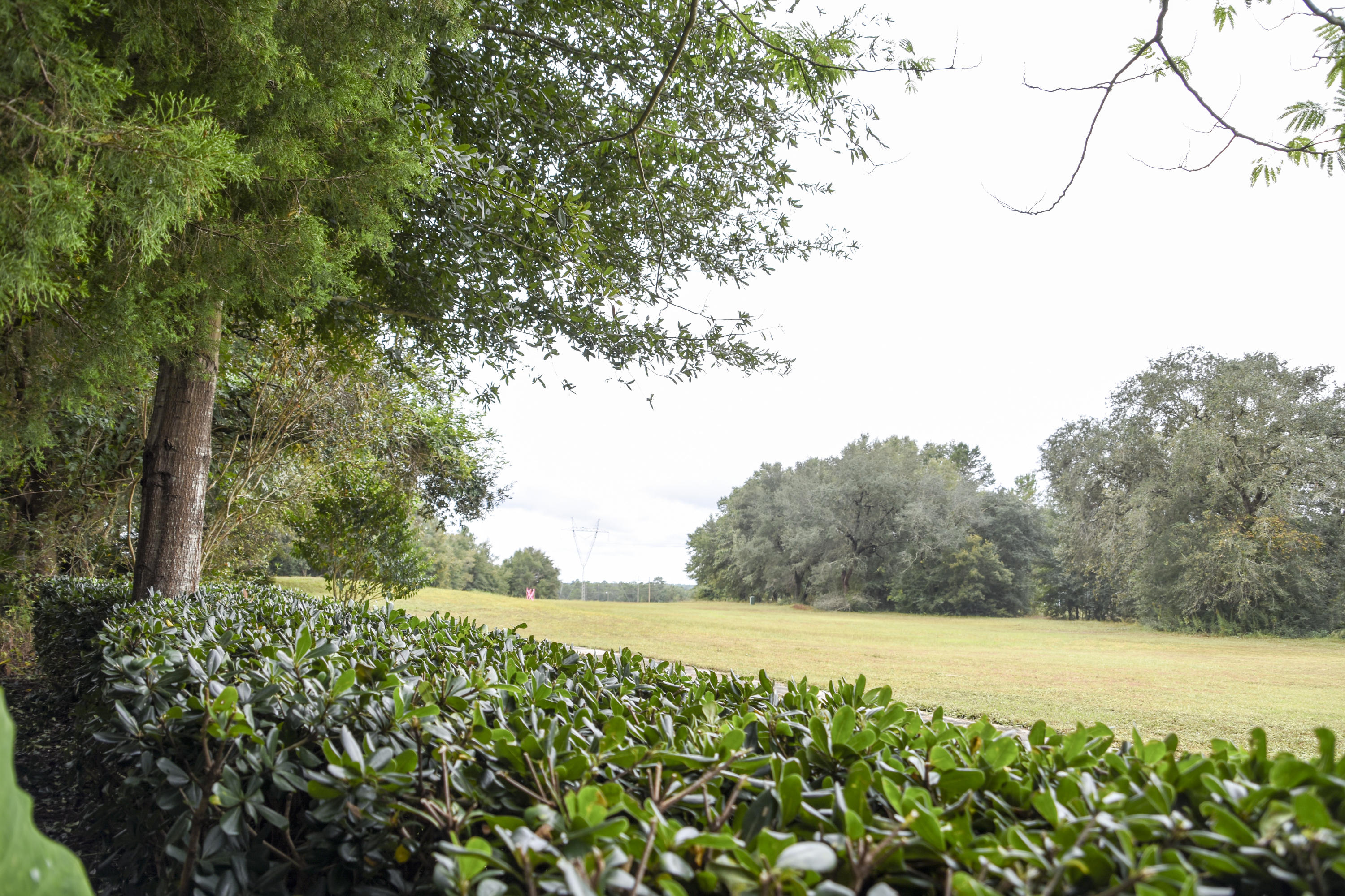 TIMBERLINE ESTATES - Residential